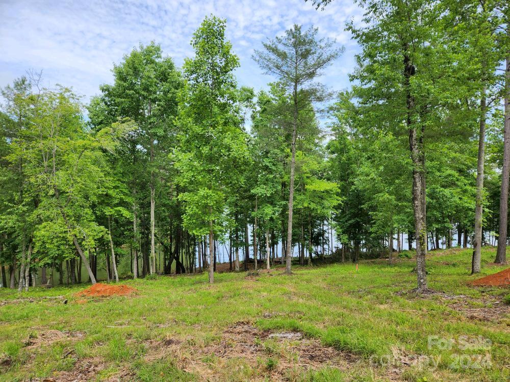 2175 Castle Peak Mountain Road Property Photo 18