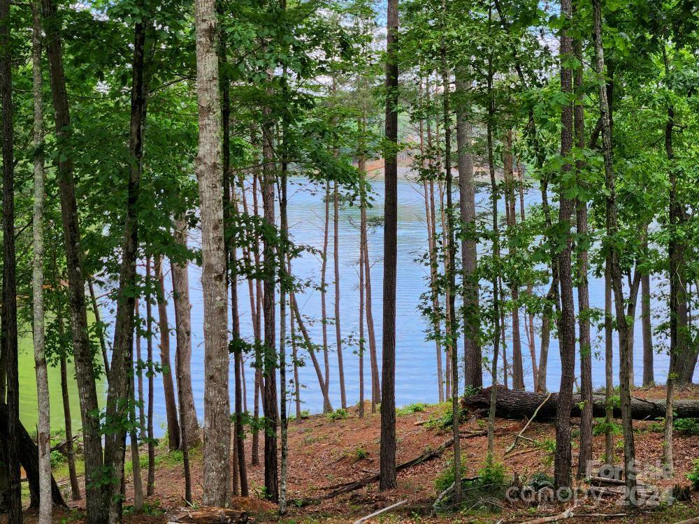 2175 Castle Peak Mountain Road Property Photo 19