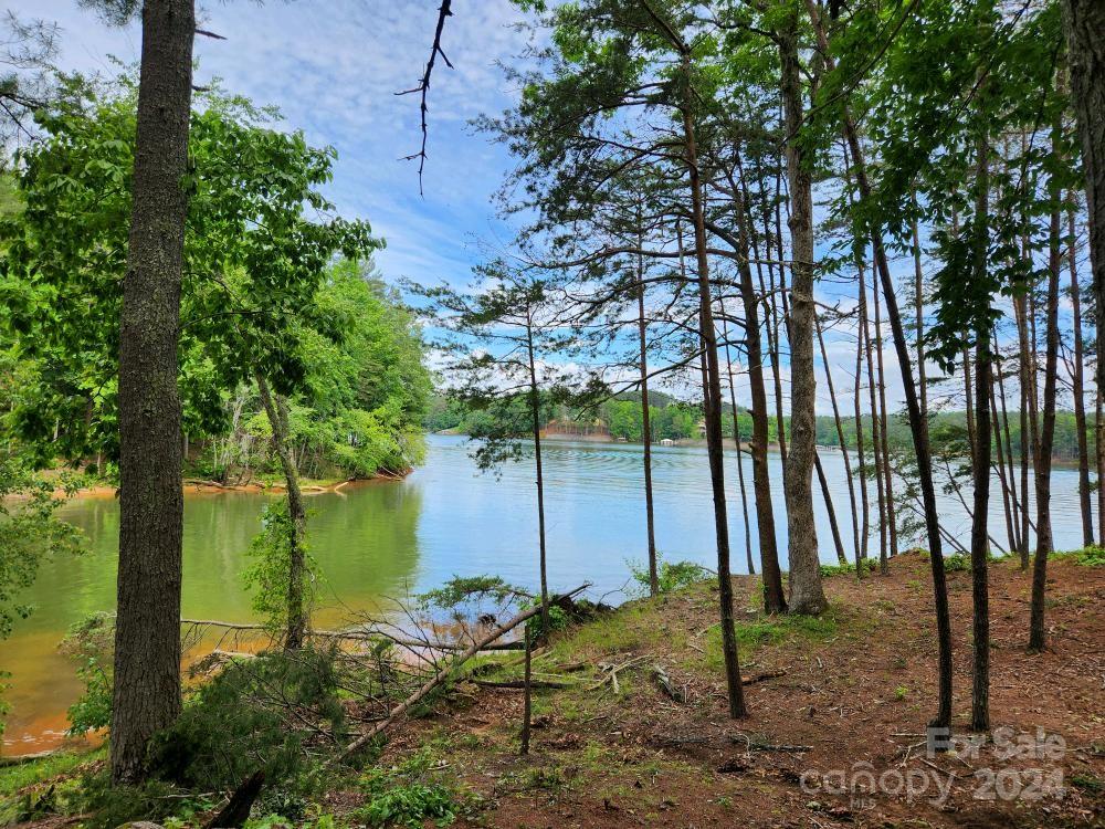 2175 Castle Peak Mountain Road Property Photo 20