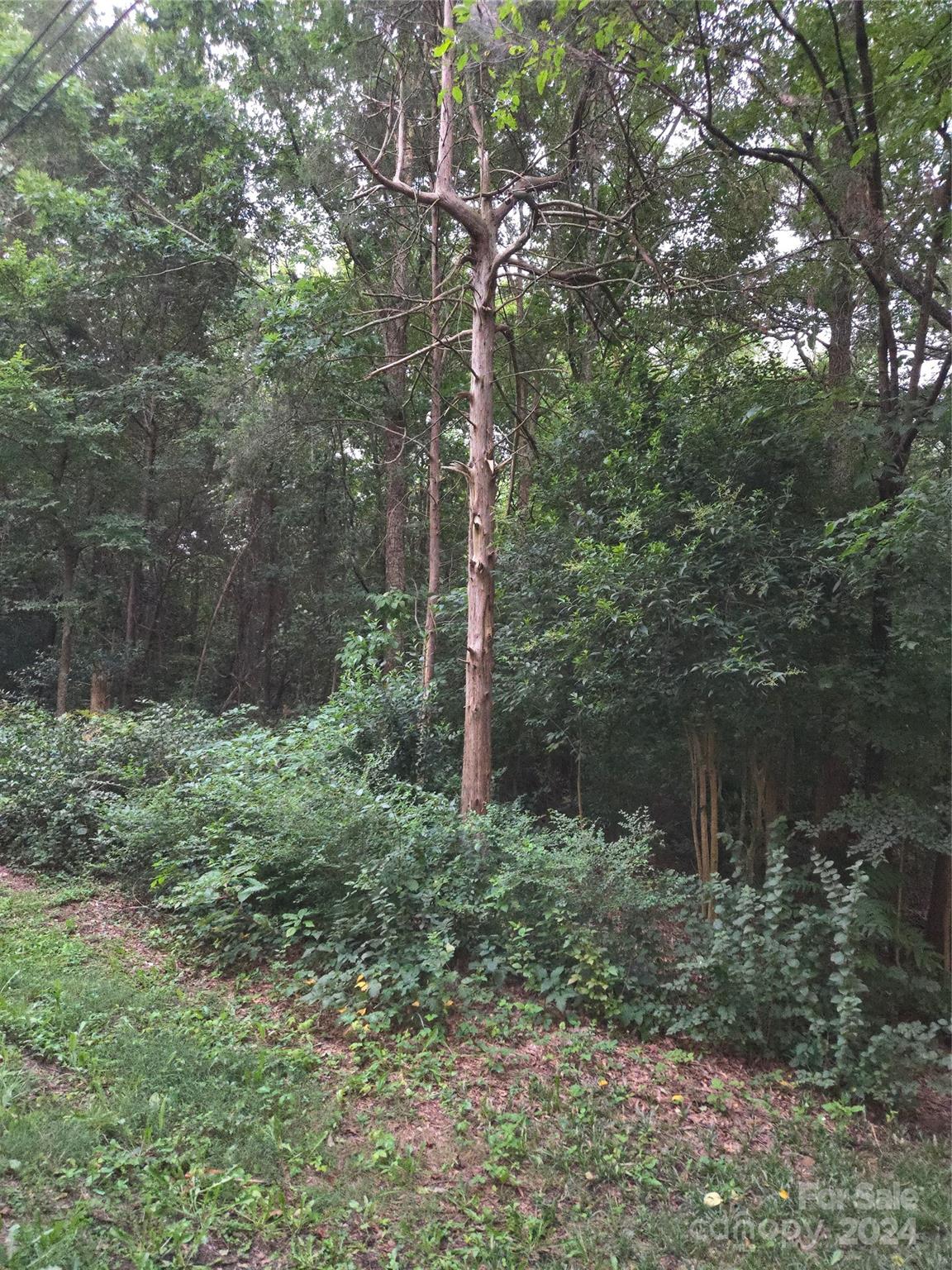 3575 Travis Lane Property Photo 2