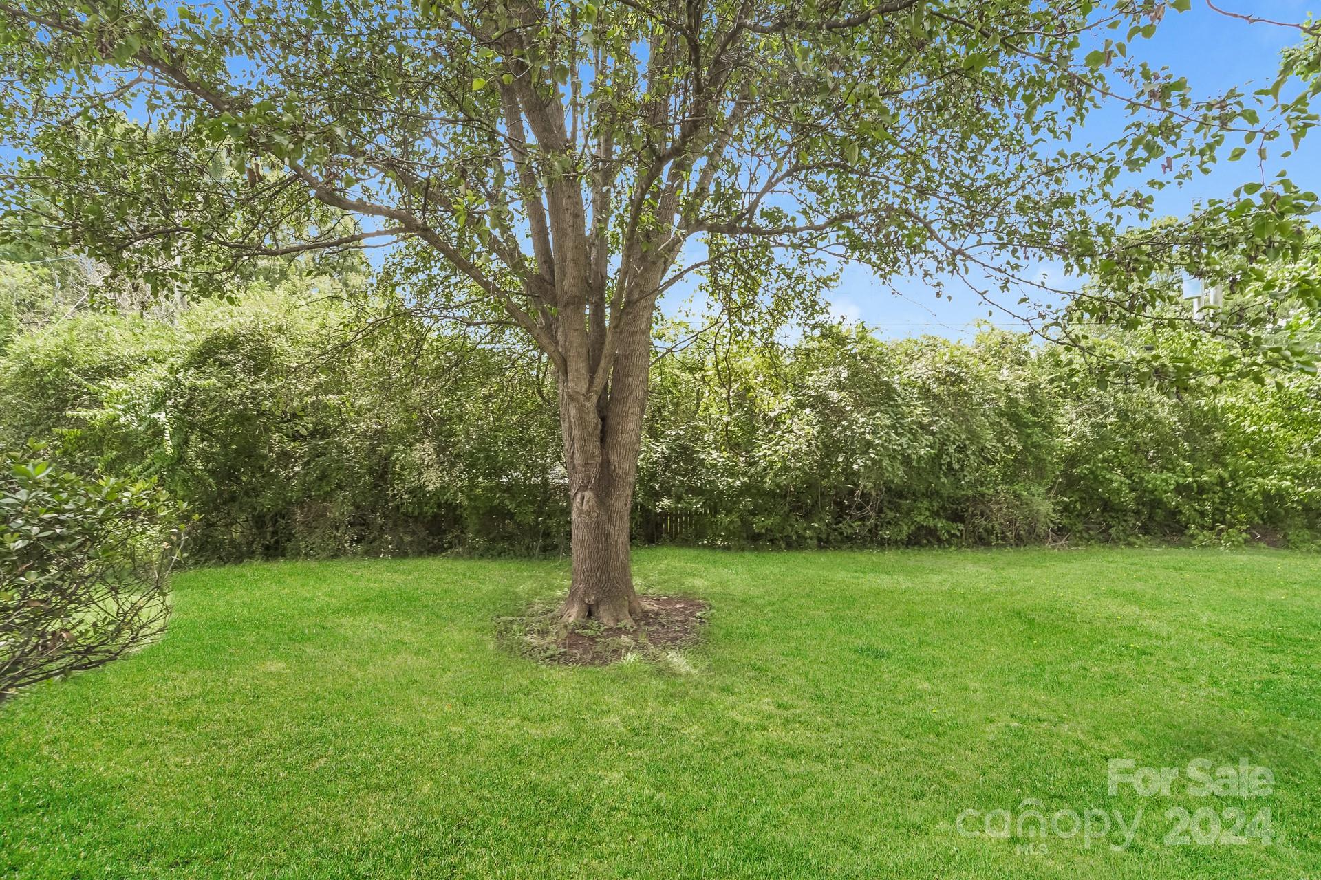 15129 Dartford Lane Property Photo 22
