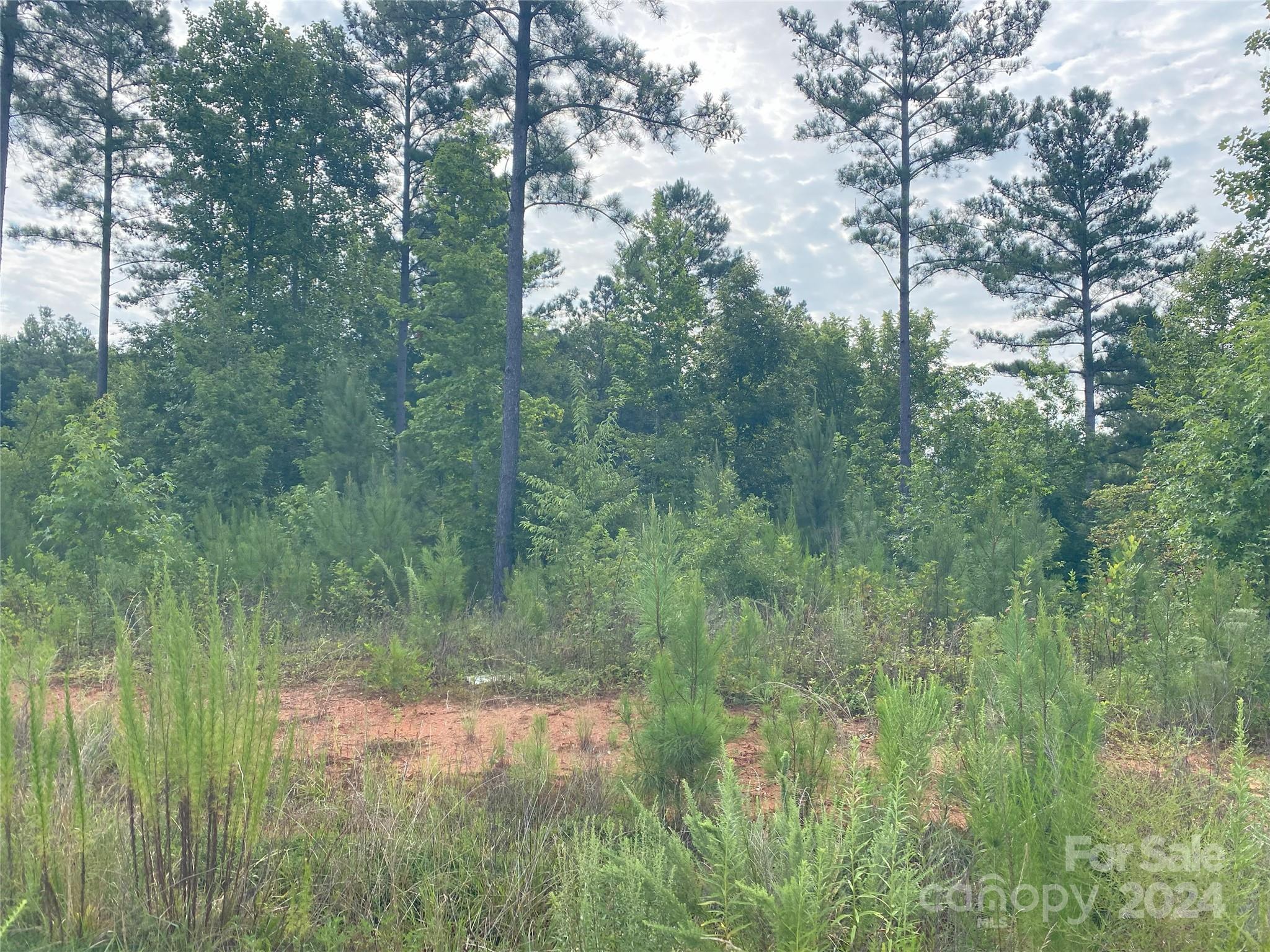 6249 Sanders Landing Lane 8 Property Photo 1