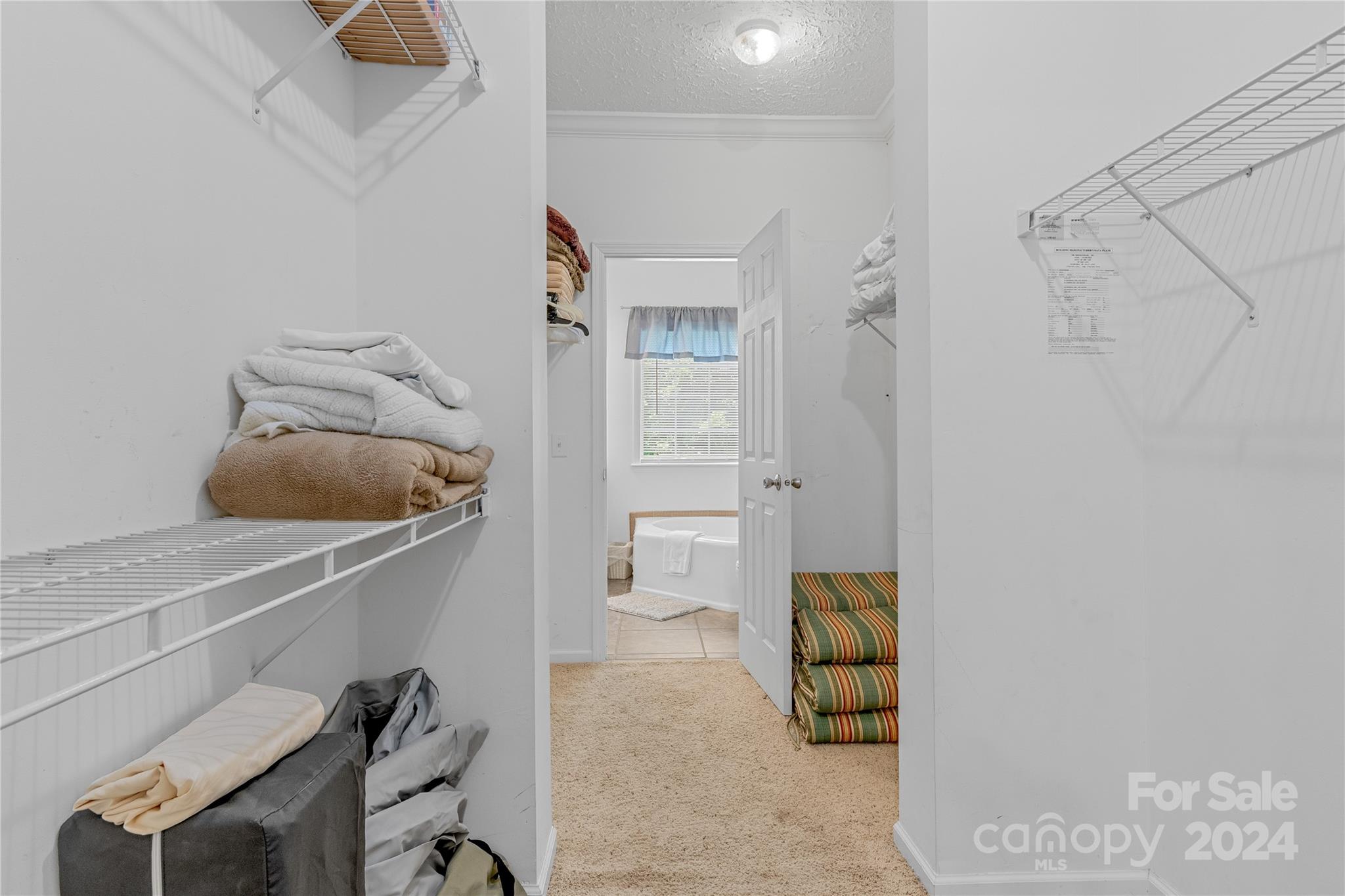 89 Palomino Road Property Photo 22
