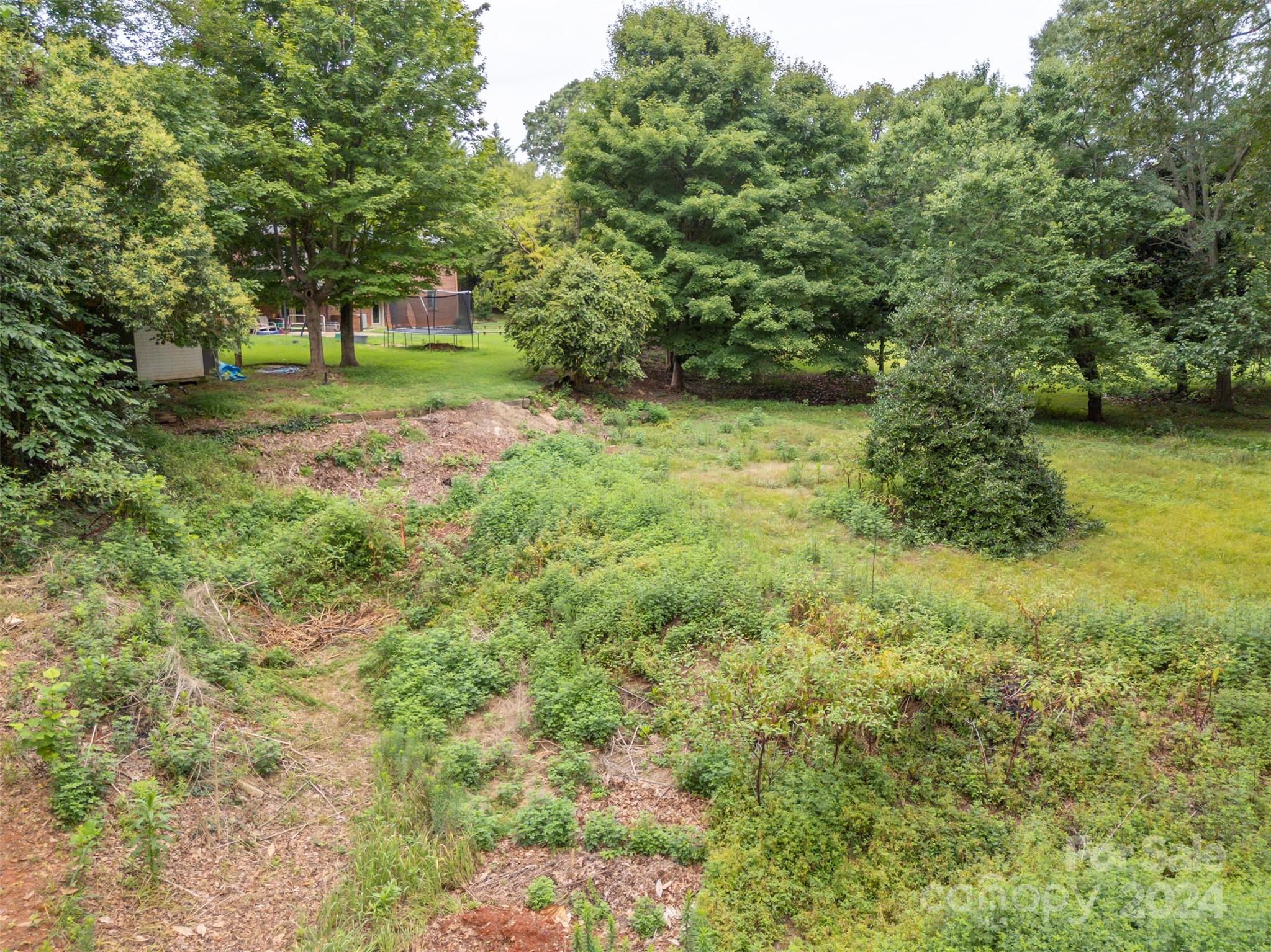 217 Old Caroleen Road Property Photo 37
