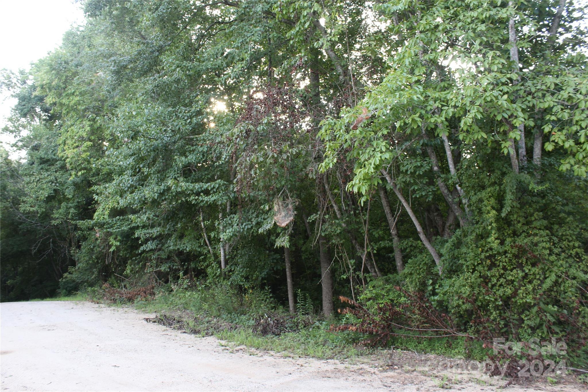 3609 E Nc 10 Highway Property Photo 5