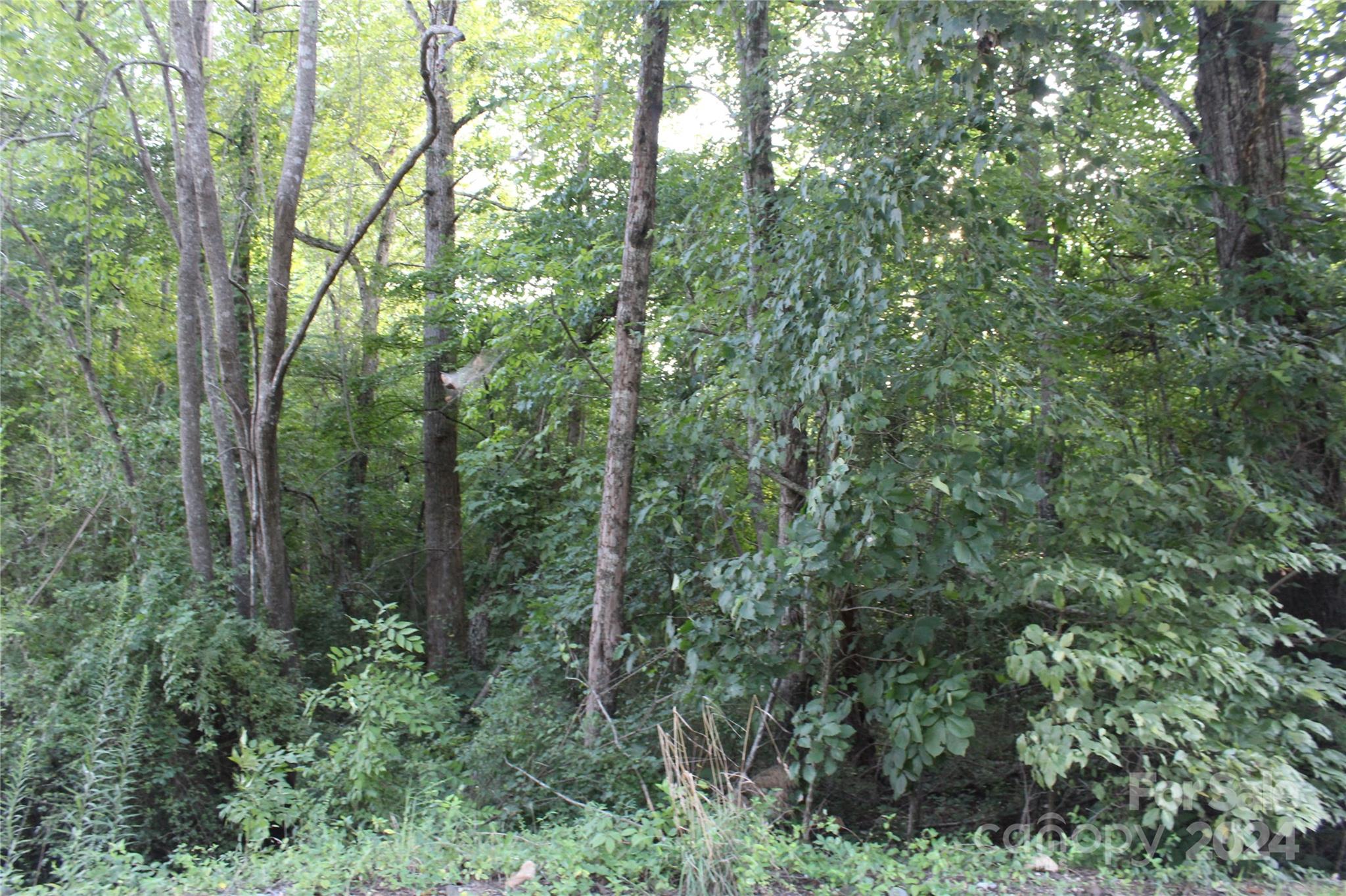 3609 E Nc 10 Highway Property Photo 6
