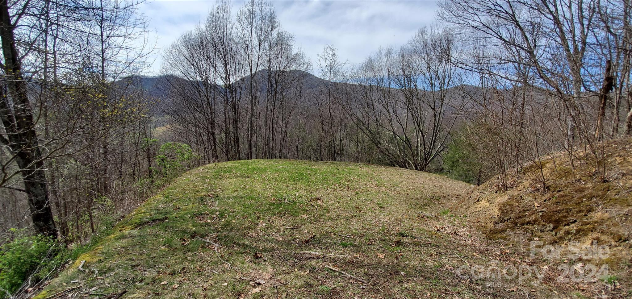 9999 Sunset Falls Drive Property Photo 3