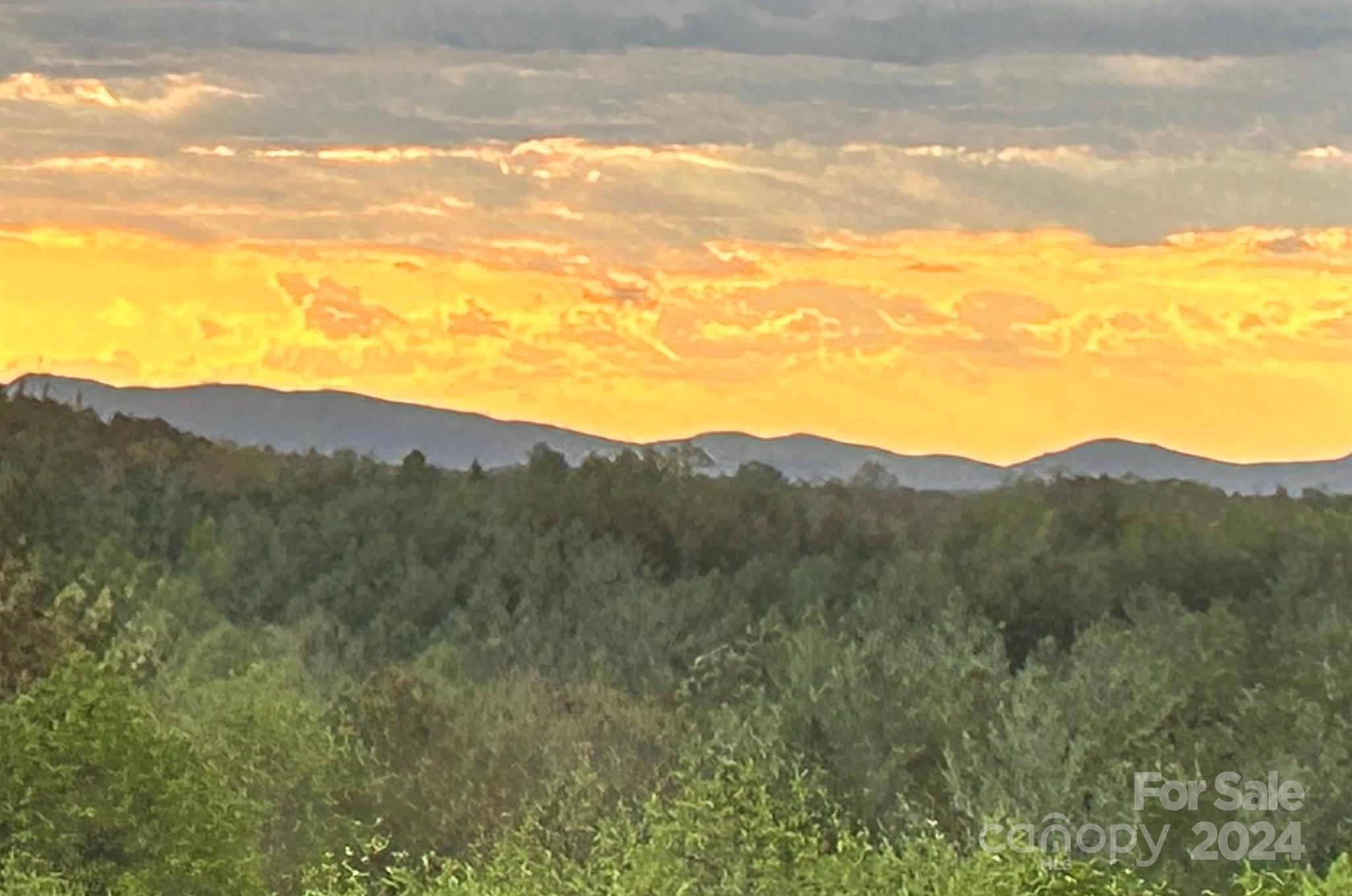 1600 Pisgah Preserve Drive Property Photo 2