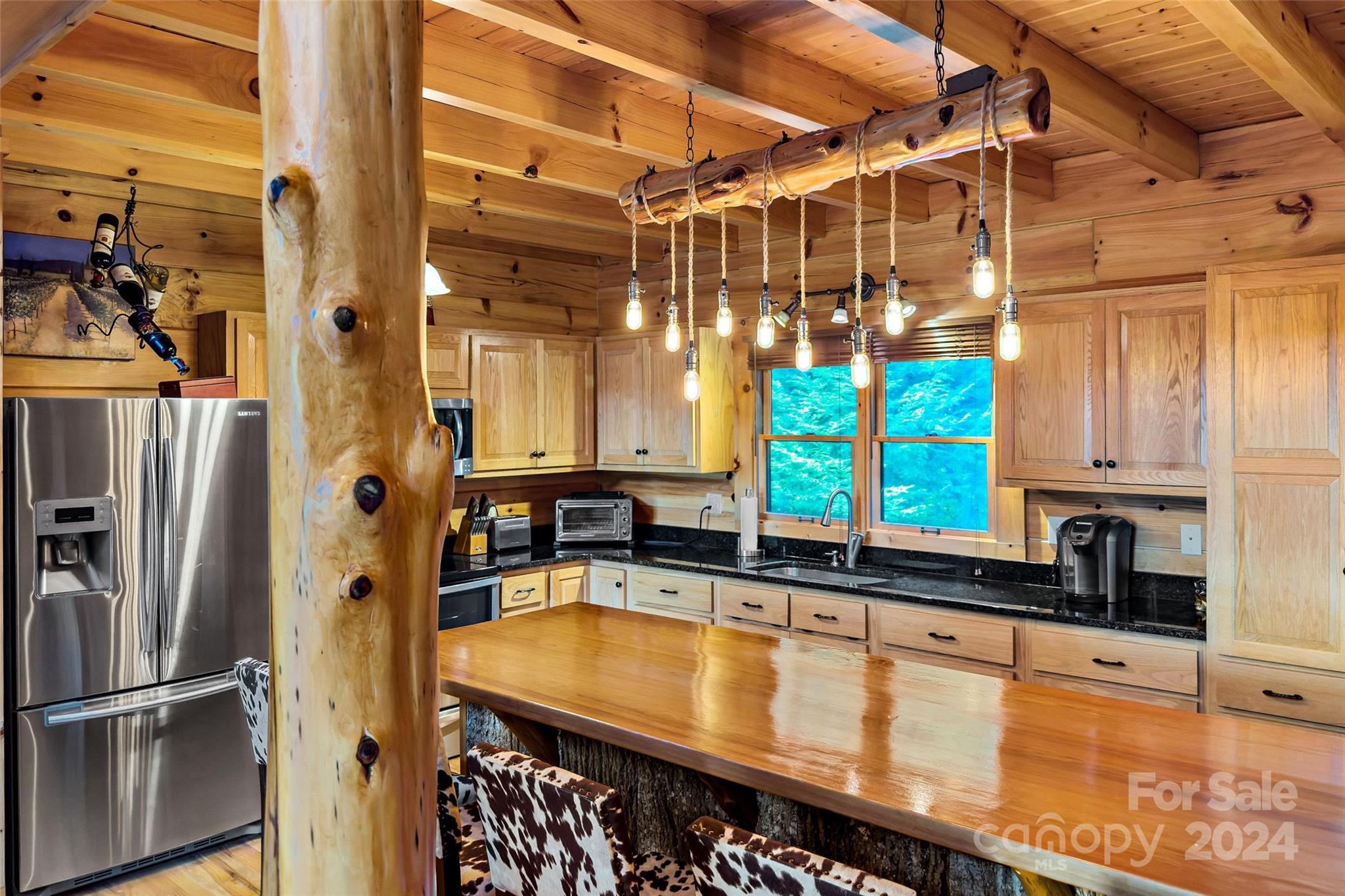 1600 Pisgah Preserve Drive Property Photo 11