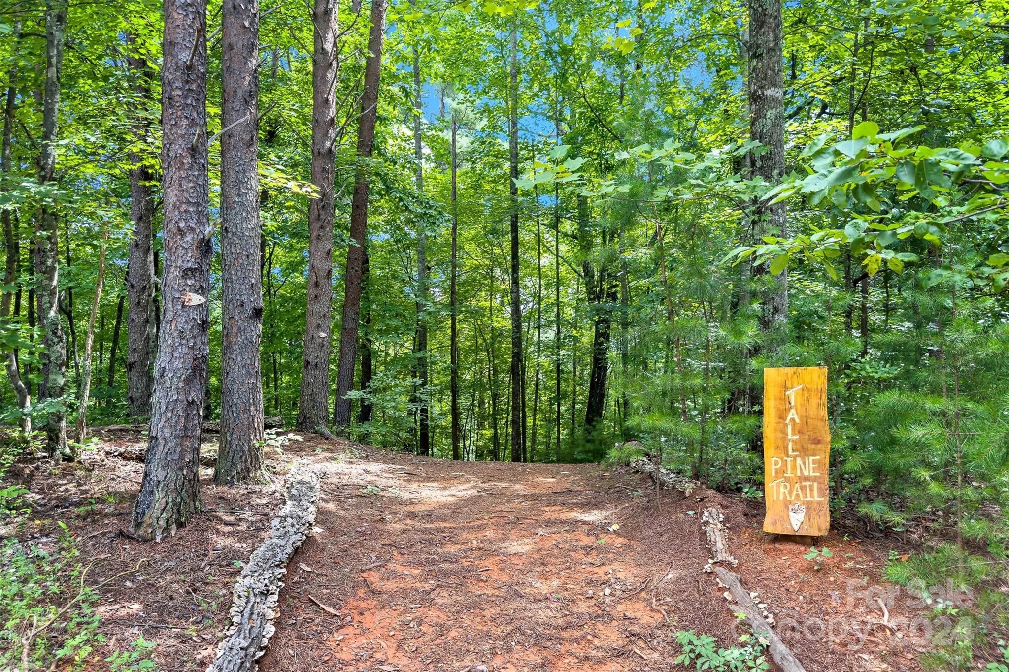 1600 Pisgah Preserve Drive Property Photo 38