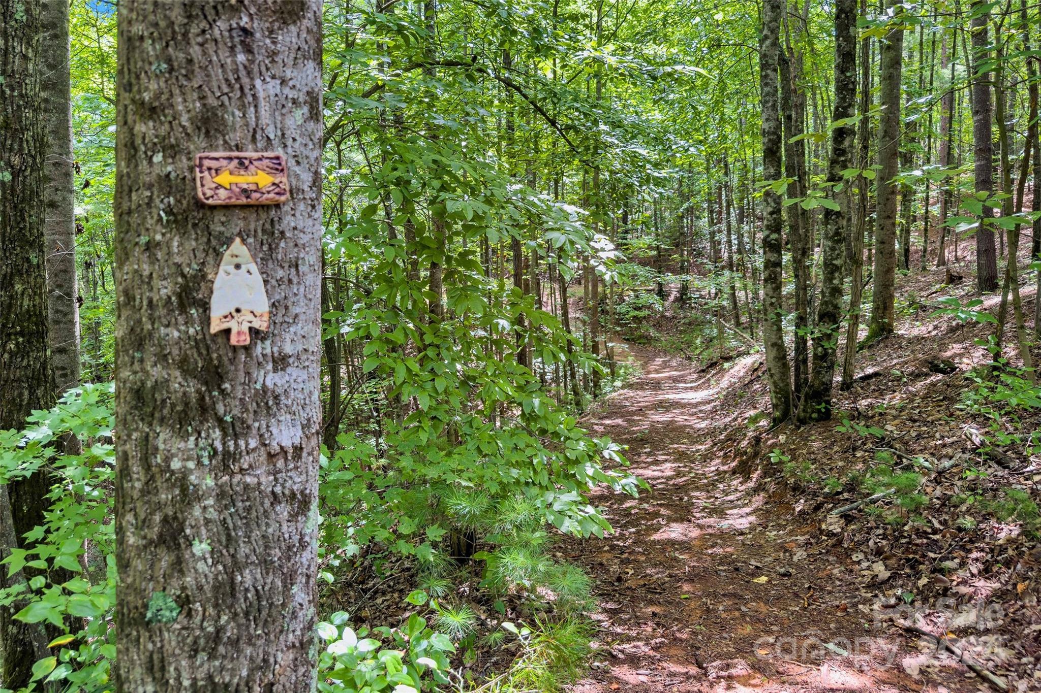 1600 Pisgah Preserve Drive Property Photo 39