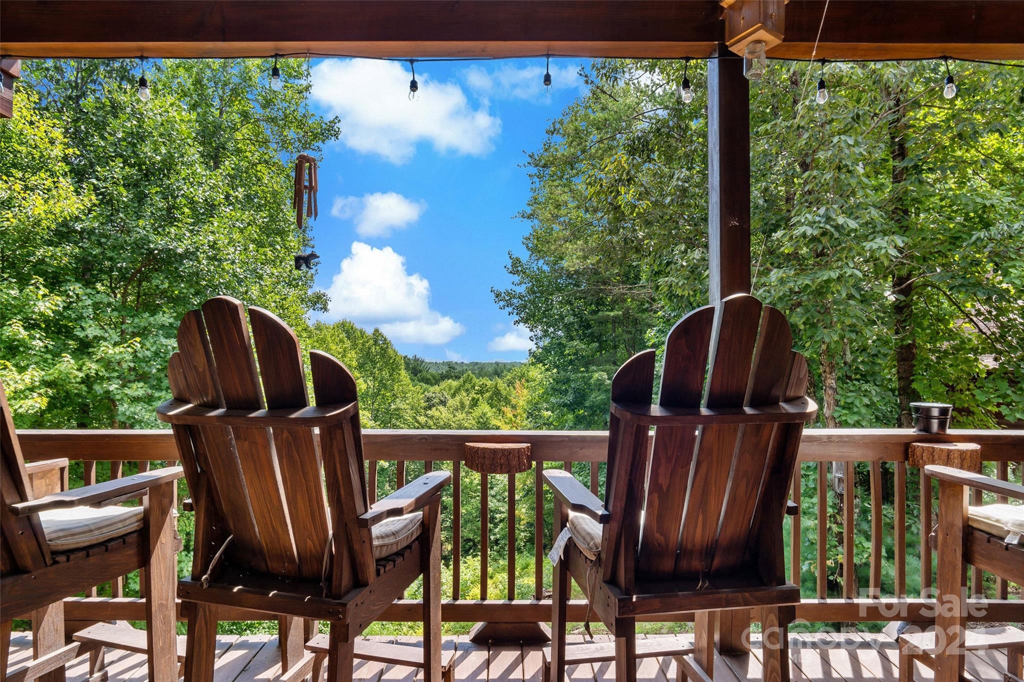 1600 Pisgah Preserve Drive Property Photo 41