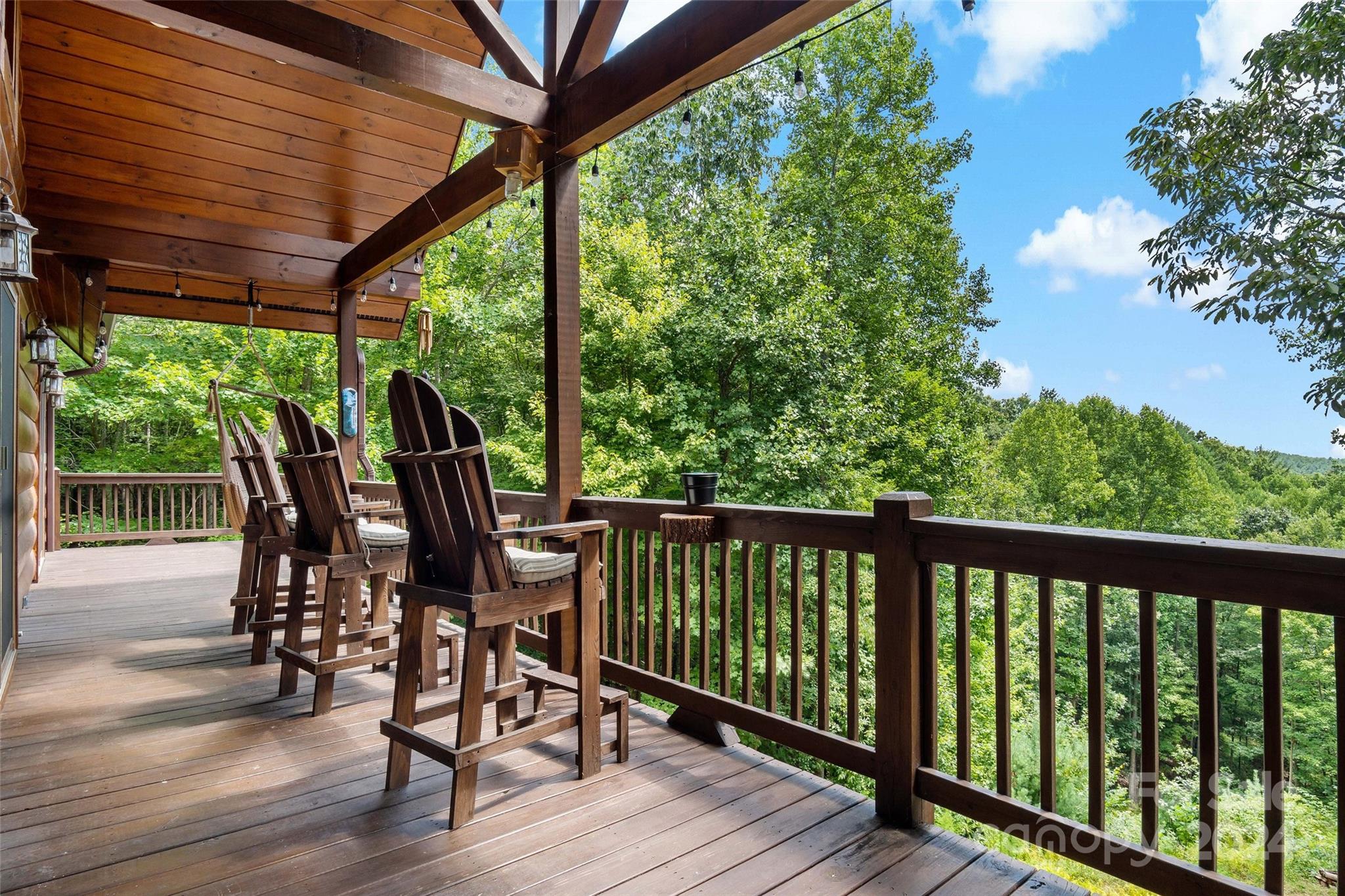 1600 Pisgah Preserve Drive Property Photo 42