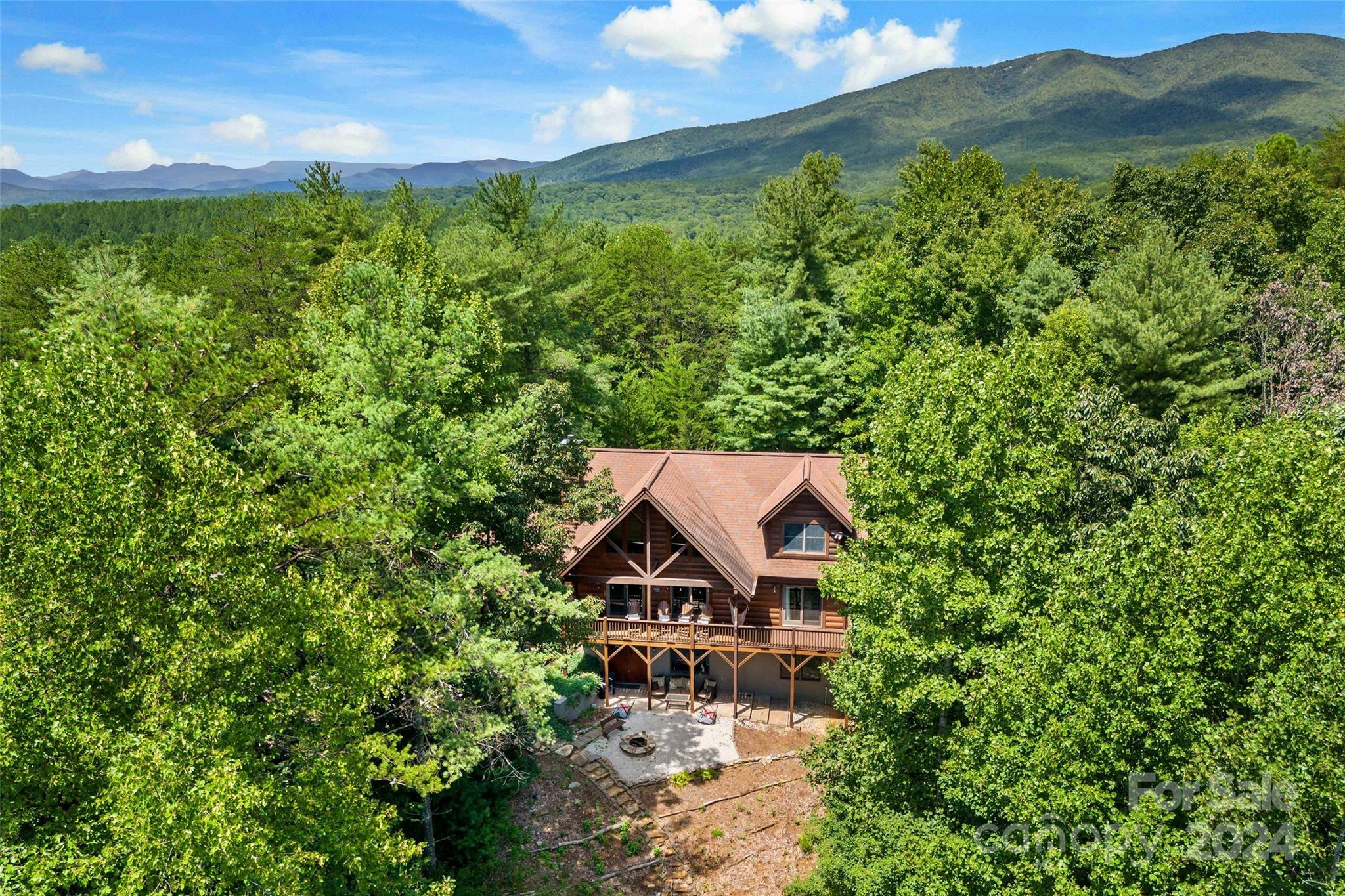 1600 Pisgah Preserve Drive Property Photo 46