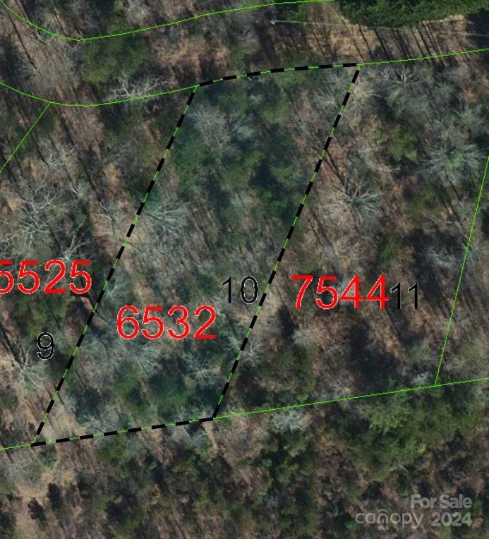 TBD Biggerstaff Loop lot #10 Property Photo 1