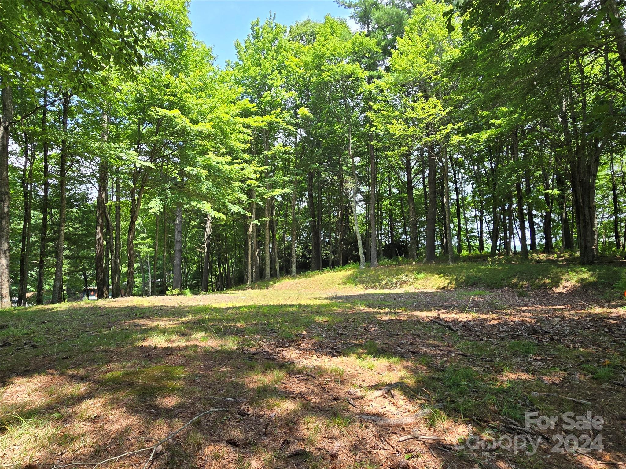Lot 13 Vista Ridge Road Property Photo