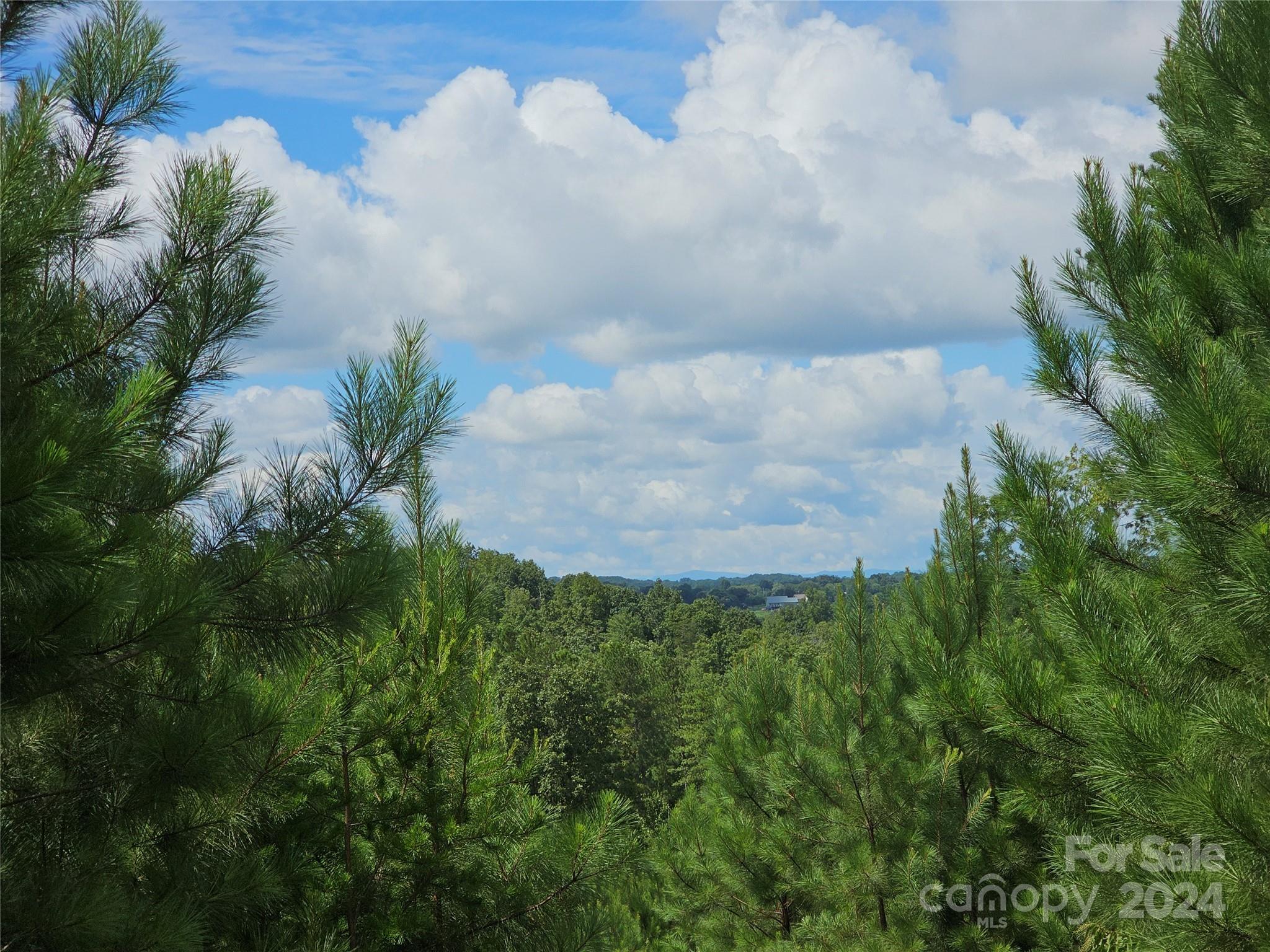 0 Waters Edge Drive 84 Property Photo 19