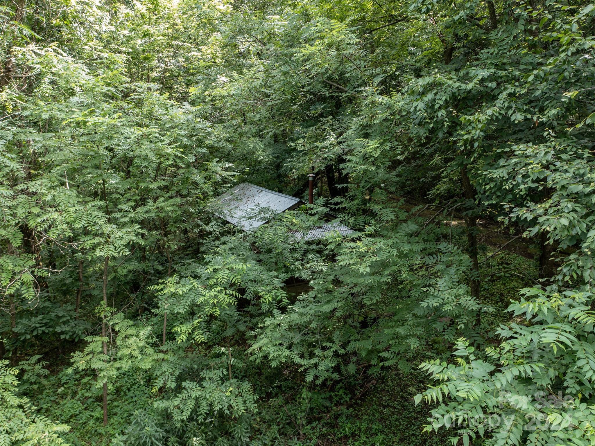 1001 Mountain Glen Road Property Photo 5