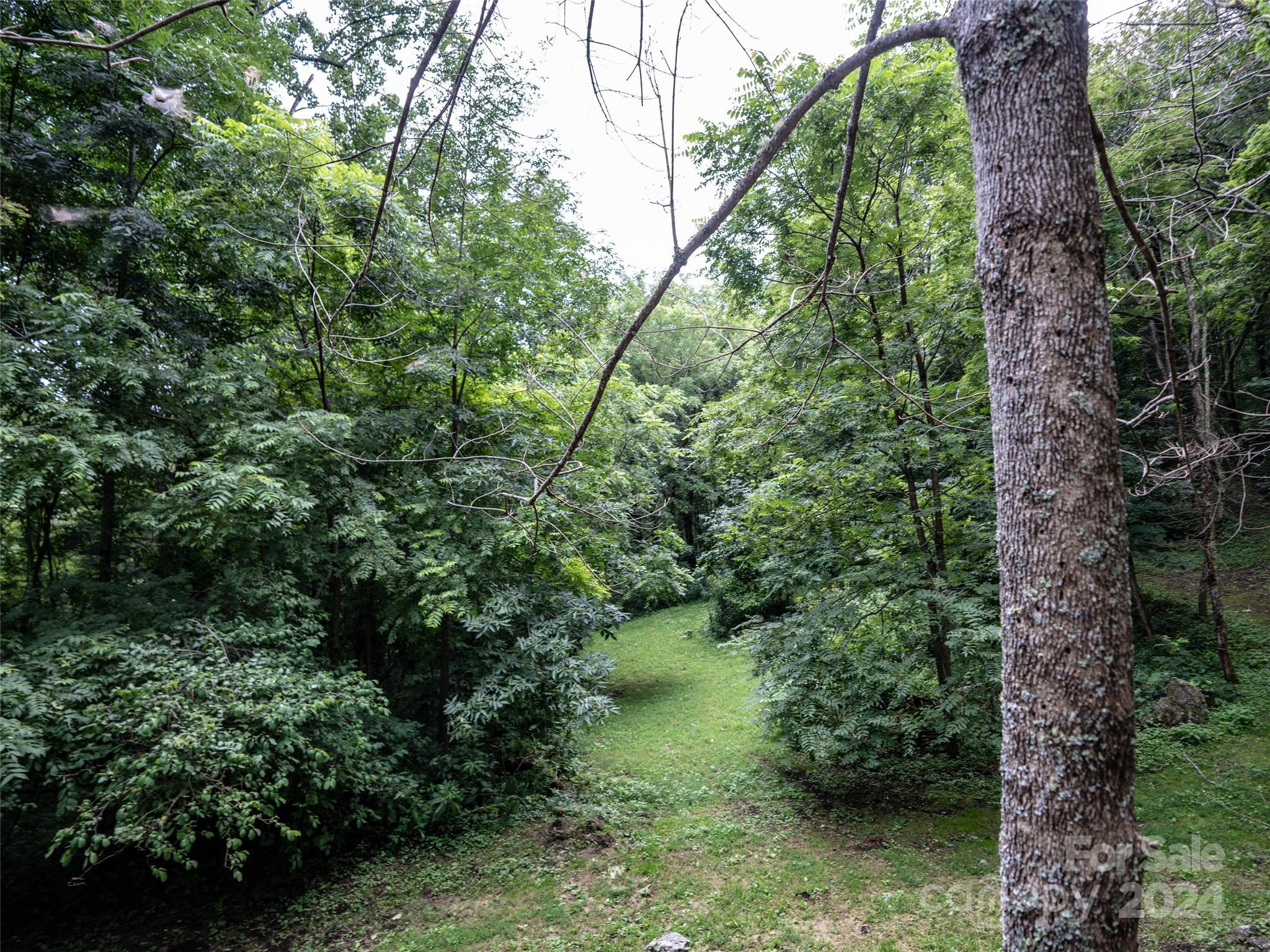 1001 Mountain Glen Road Property Photo 29