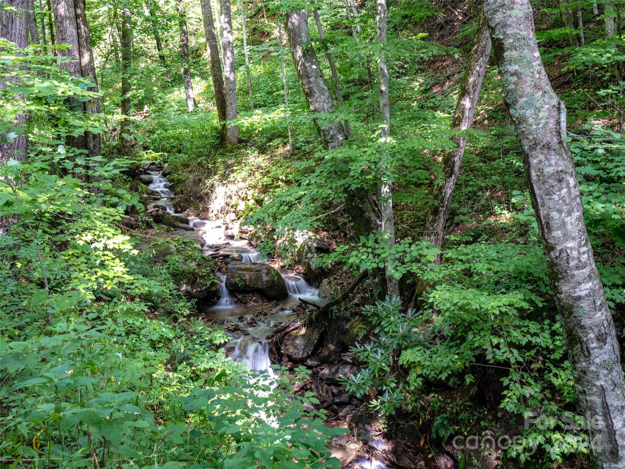 1001 Mountain Glen Road Property Photo 39