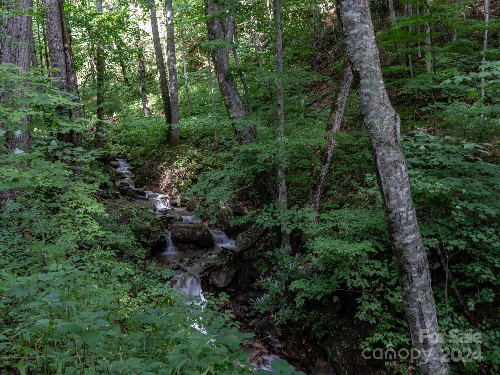 1001 Mountain Glen Road Property Photo 40