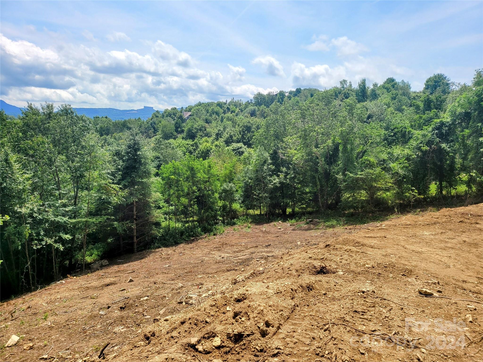 515 Grey Fox Ridge Property Photo 8