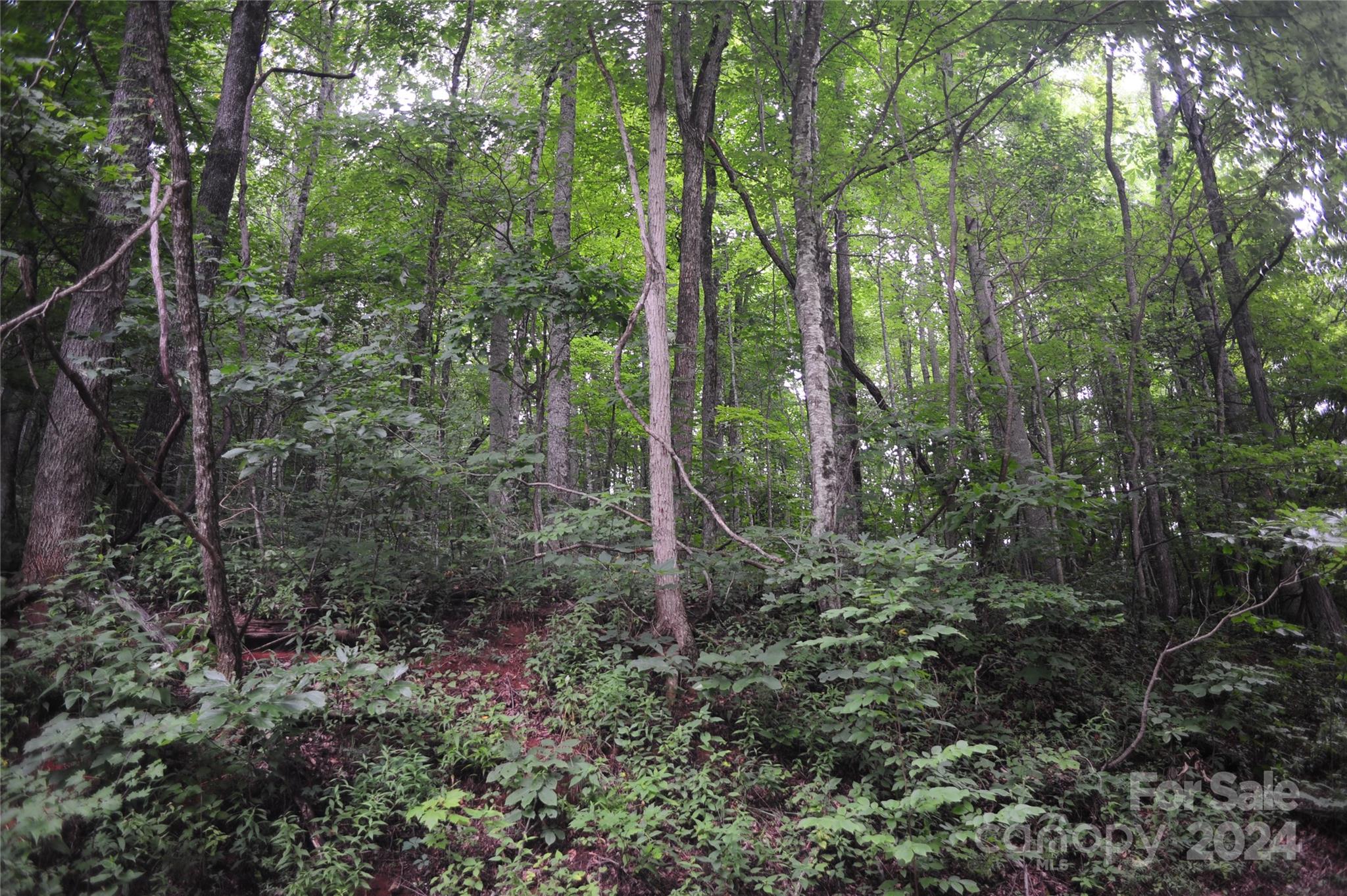 132 Ironwood Lane #c17/c18 Property Photo 2