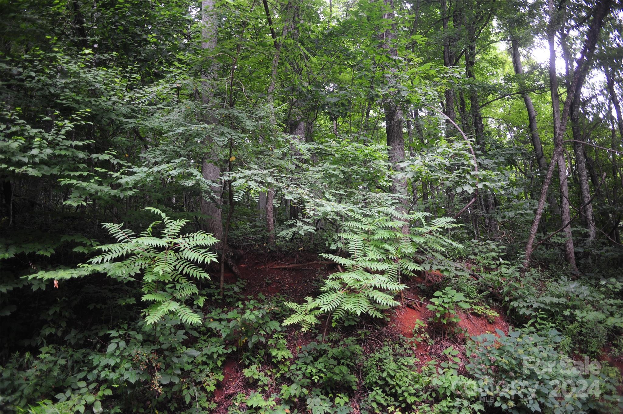 132 Ironwood Lane #c17/c18 Property Photo 3