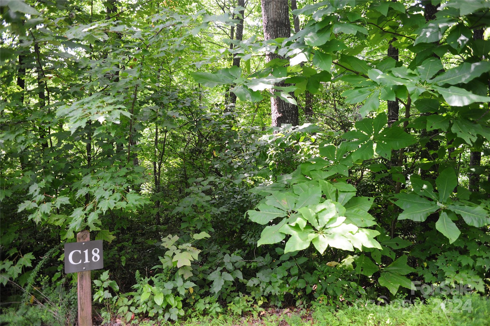 132 Ironwood Lane #c17/c18 Property Photo 4