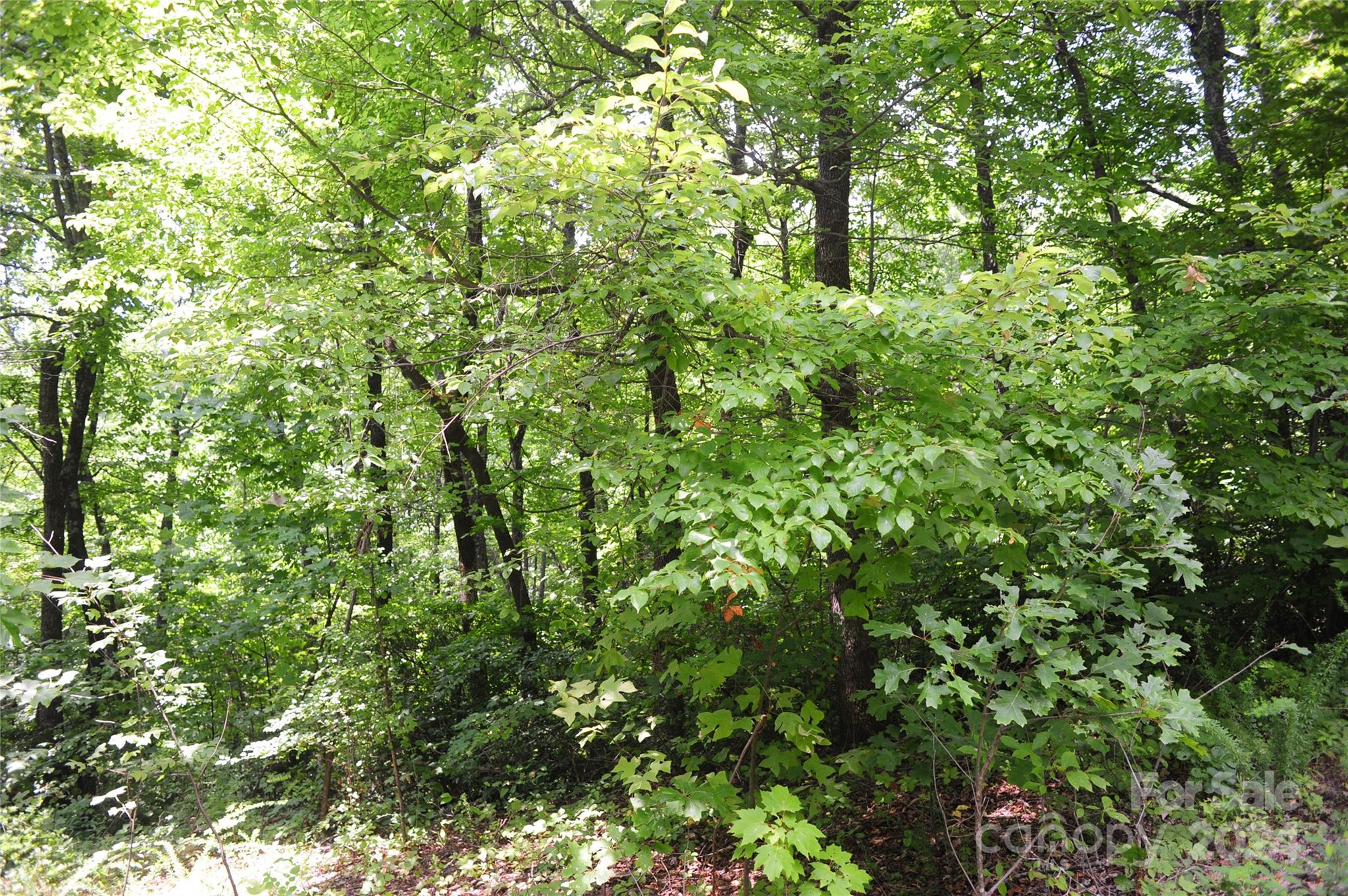 132 Ironwood Lane #c17/c18 Property Photo 6