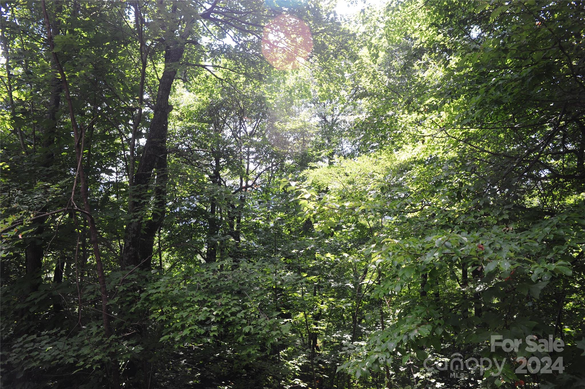 132 Ironwood Lane #c17/c18 Property Photo 8