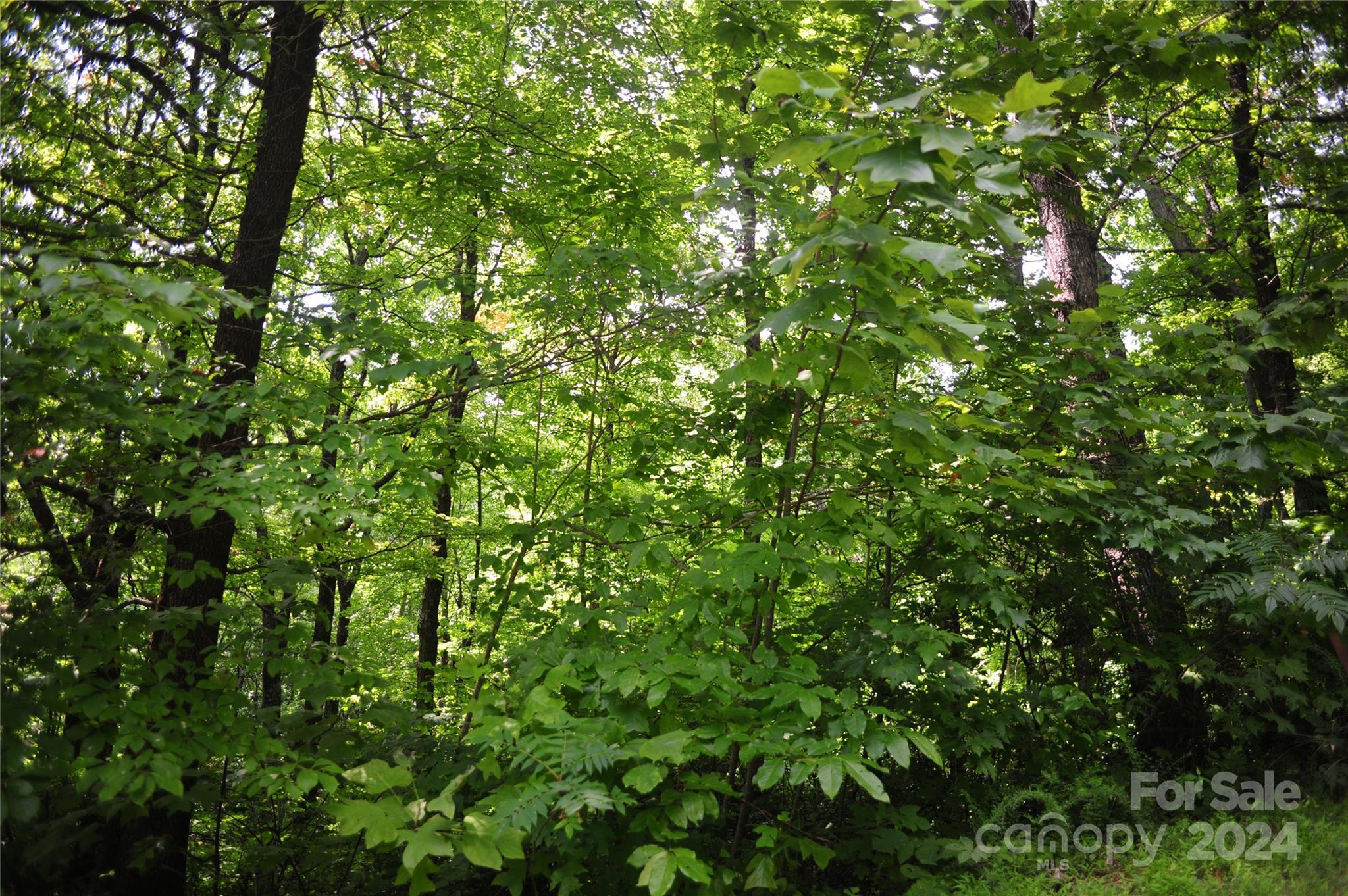 132 Ironwood Lane #c17/c18 Property Photo 11