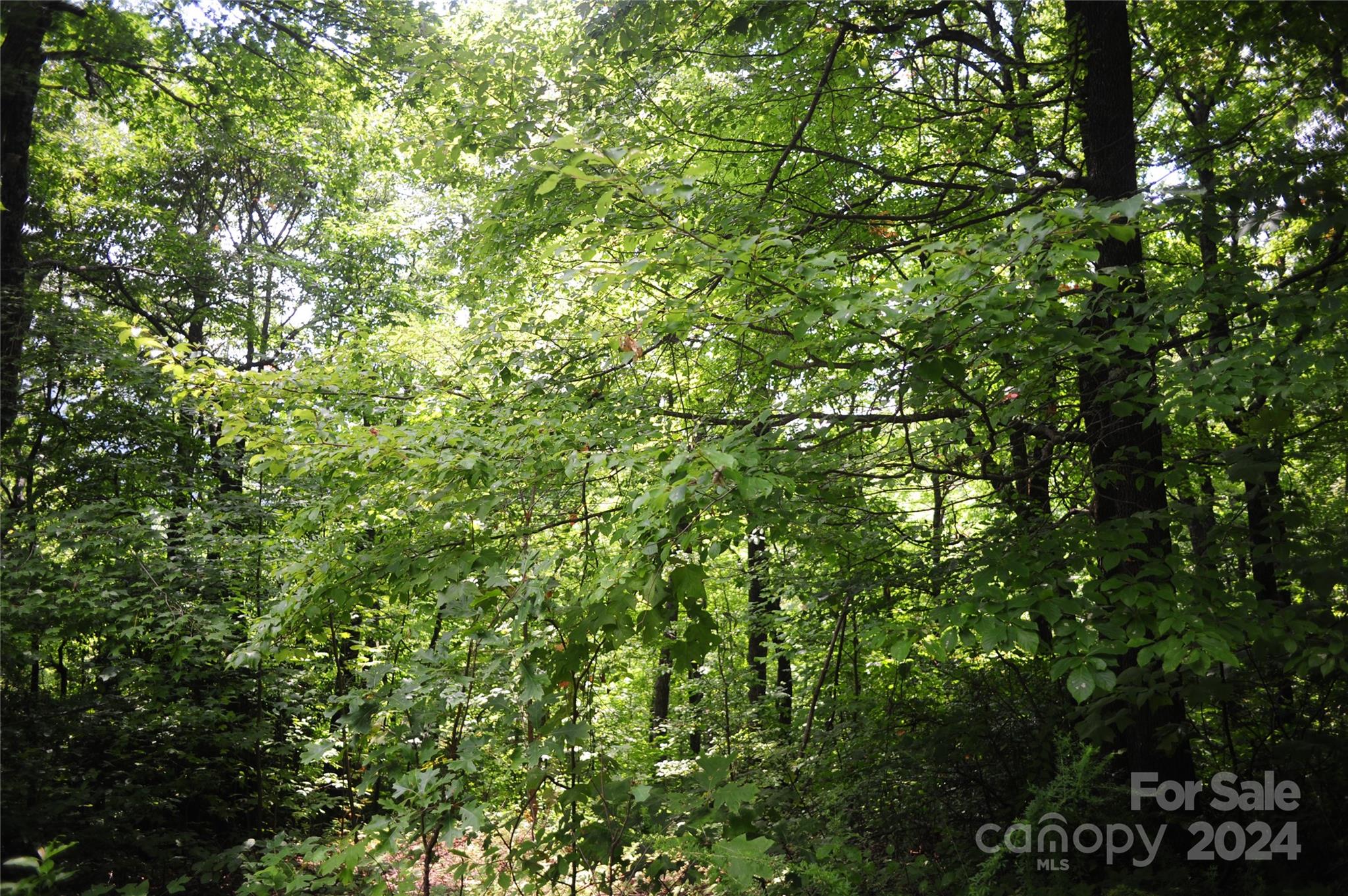 132 Ironwood Lane #c17/c18 Property Photo 12