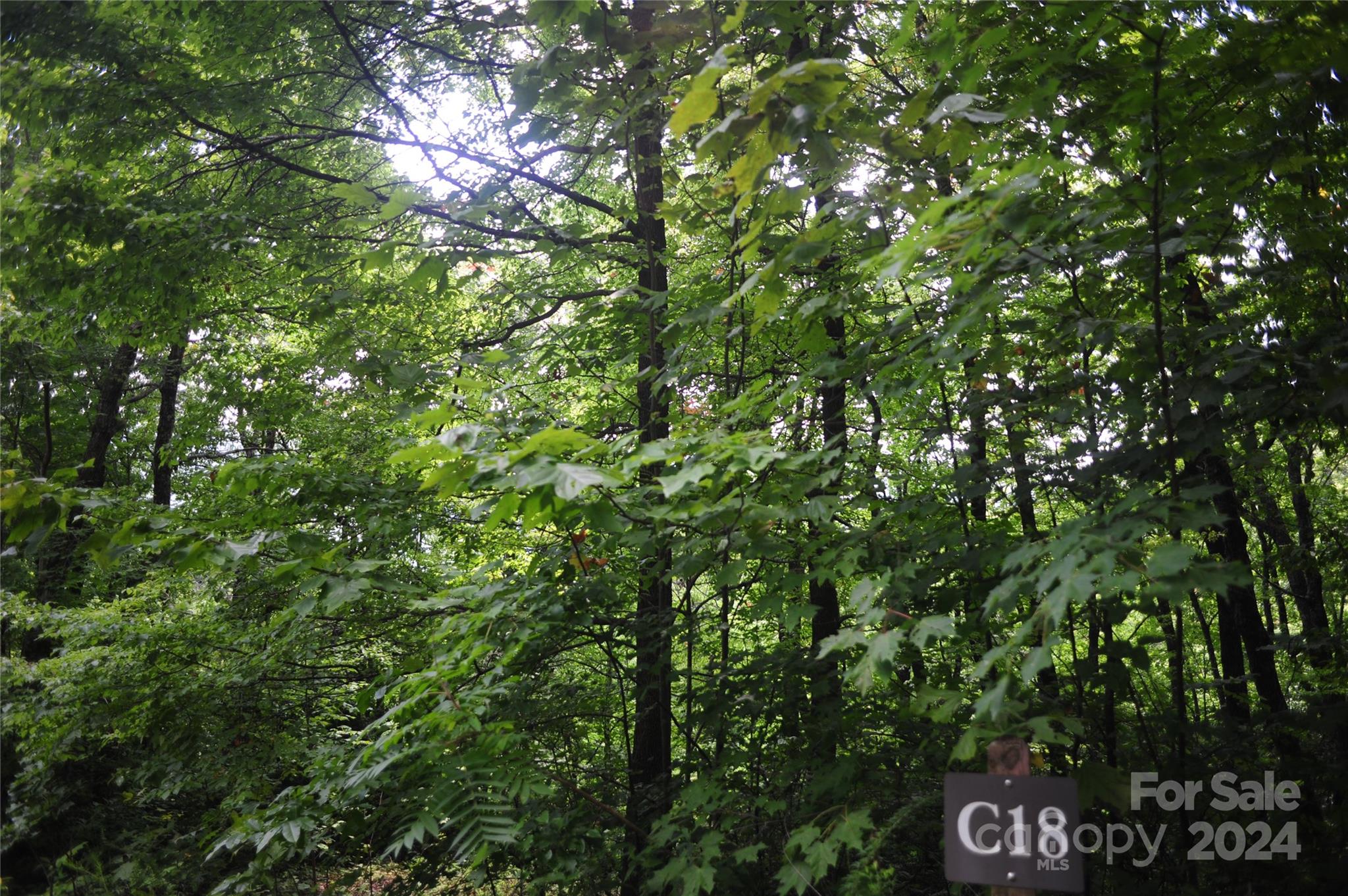132 Ironwood Lane #c17/c18 Property Photo 13