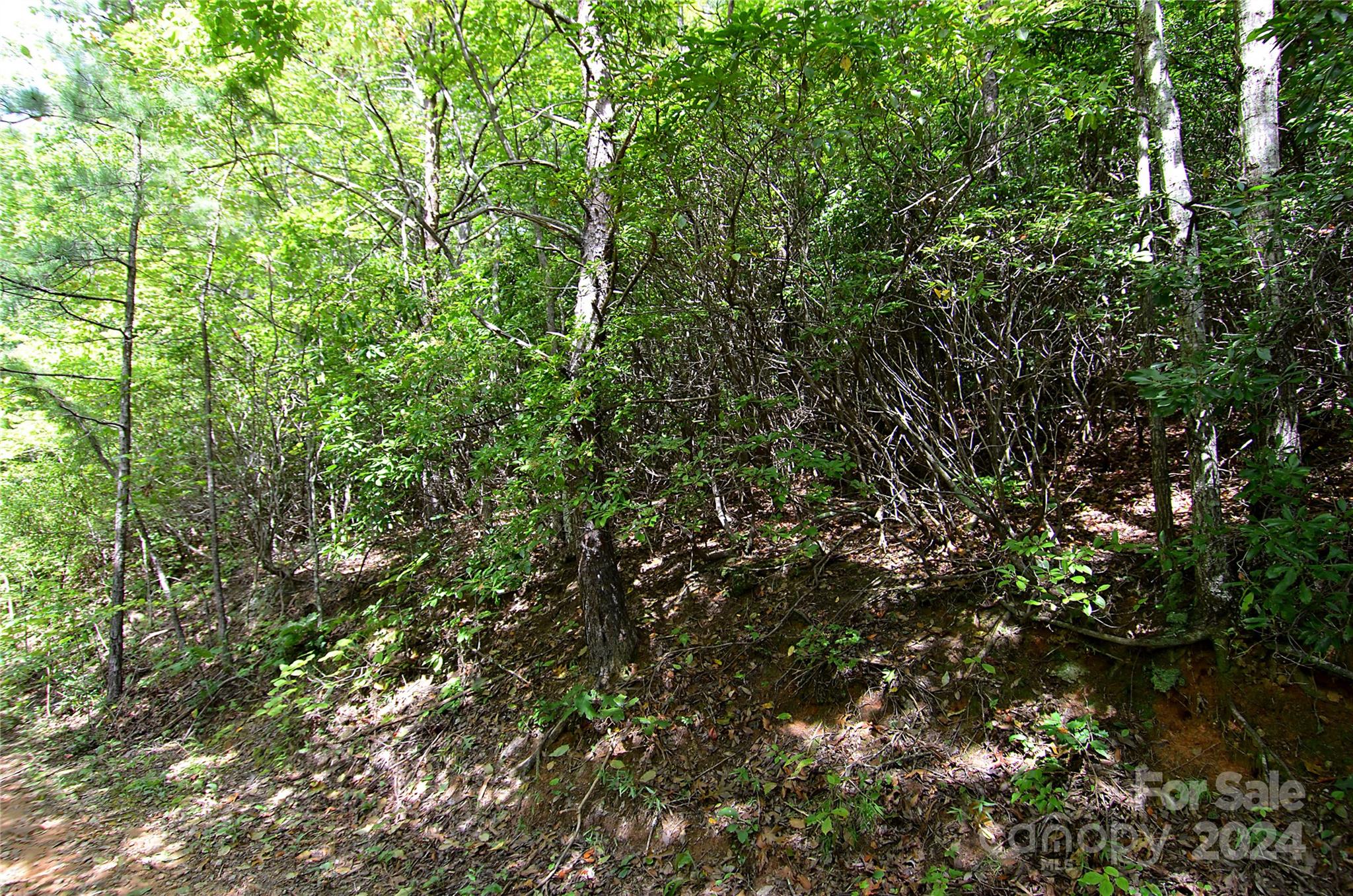 0 Jarrell Loop Property Photo 2