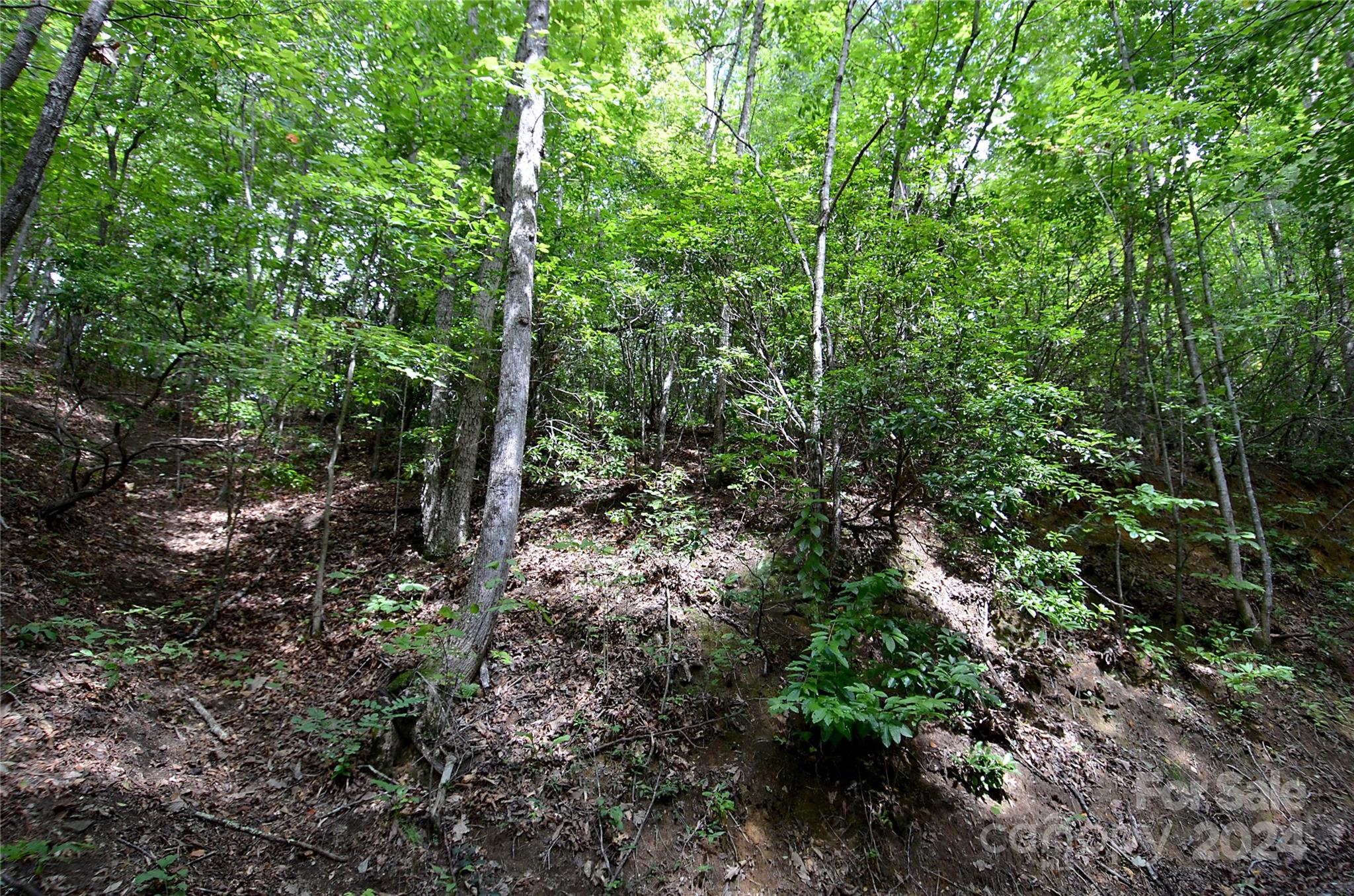 0 Jarrell Loop Property Photo 4