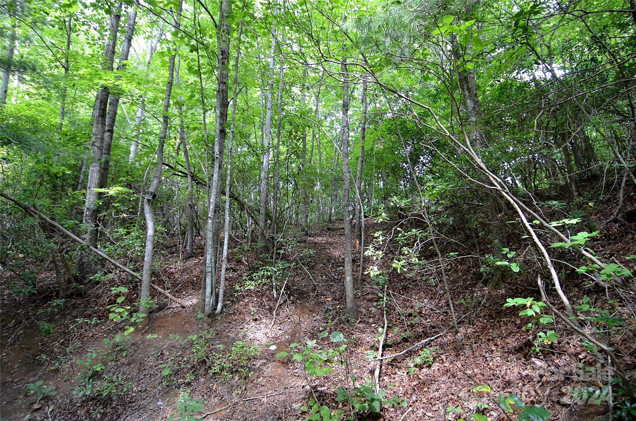 0 Jarrell Loop Property Photo 5
