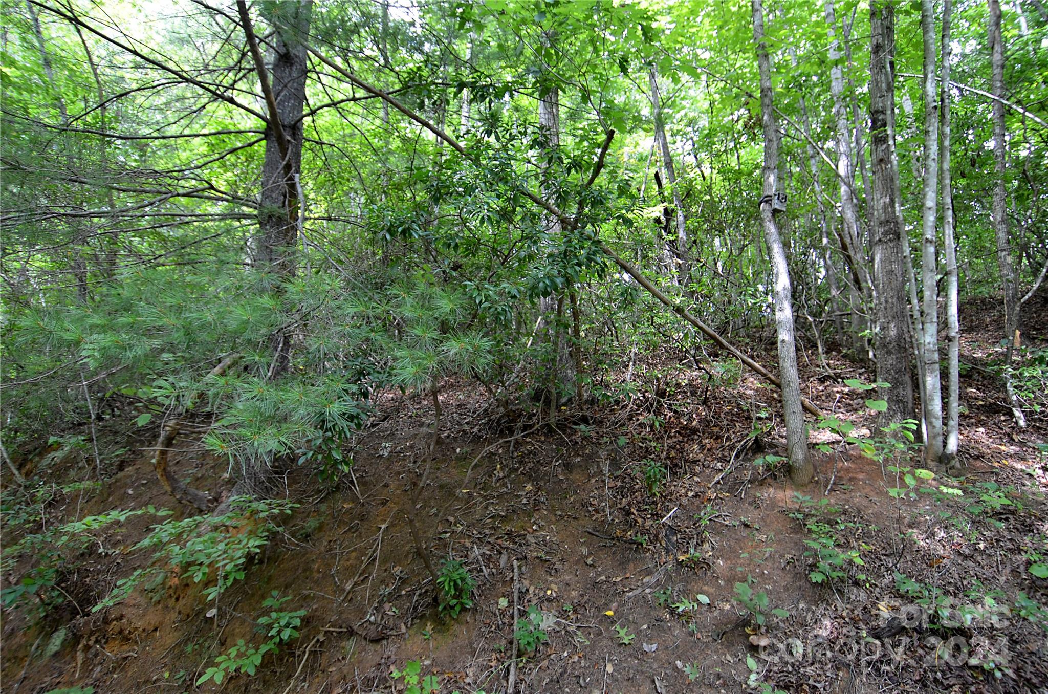 0 Jarrell Loop Property Photo 6