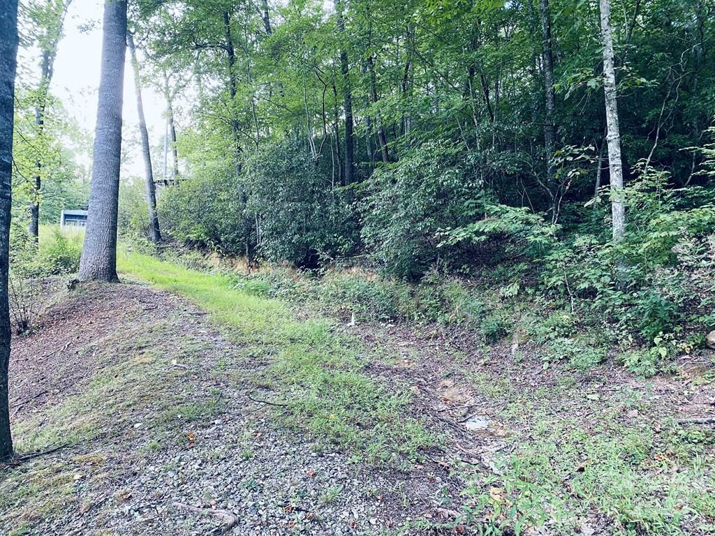 3 Rock And Roll Lane Property Photo 3