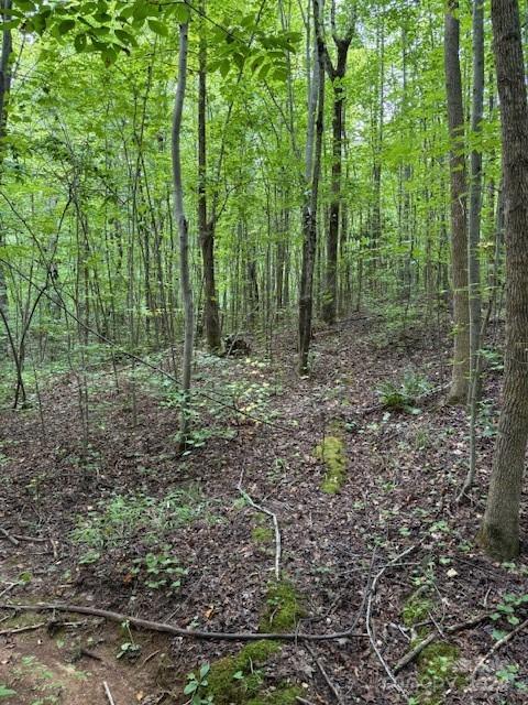 00 Timber Road Property Photo 3