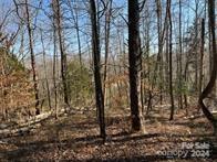 0 E Rambling Creek Drive 14 Property Photo 11