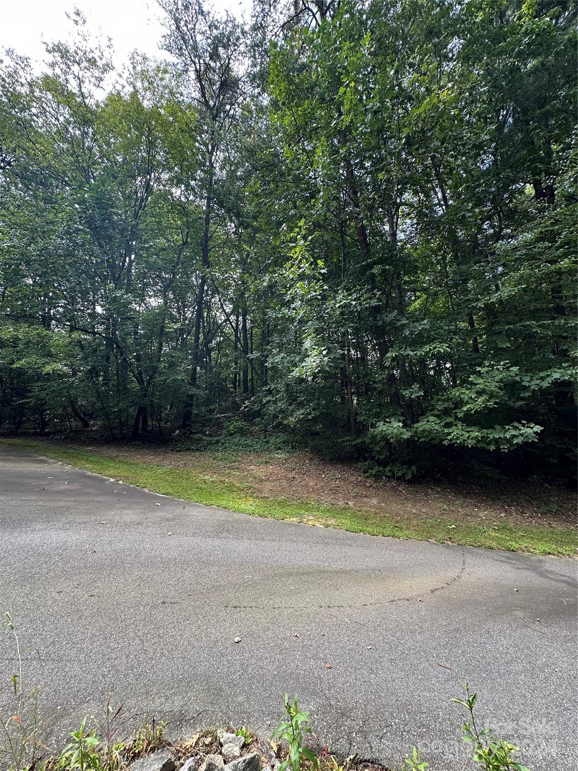 00 Old Haywood Road Property Photo 4