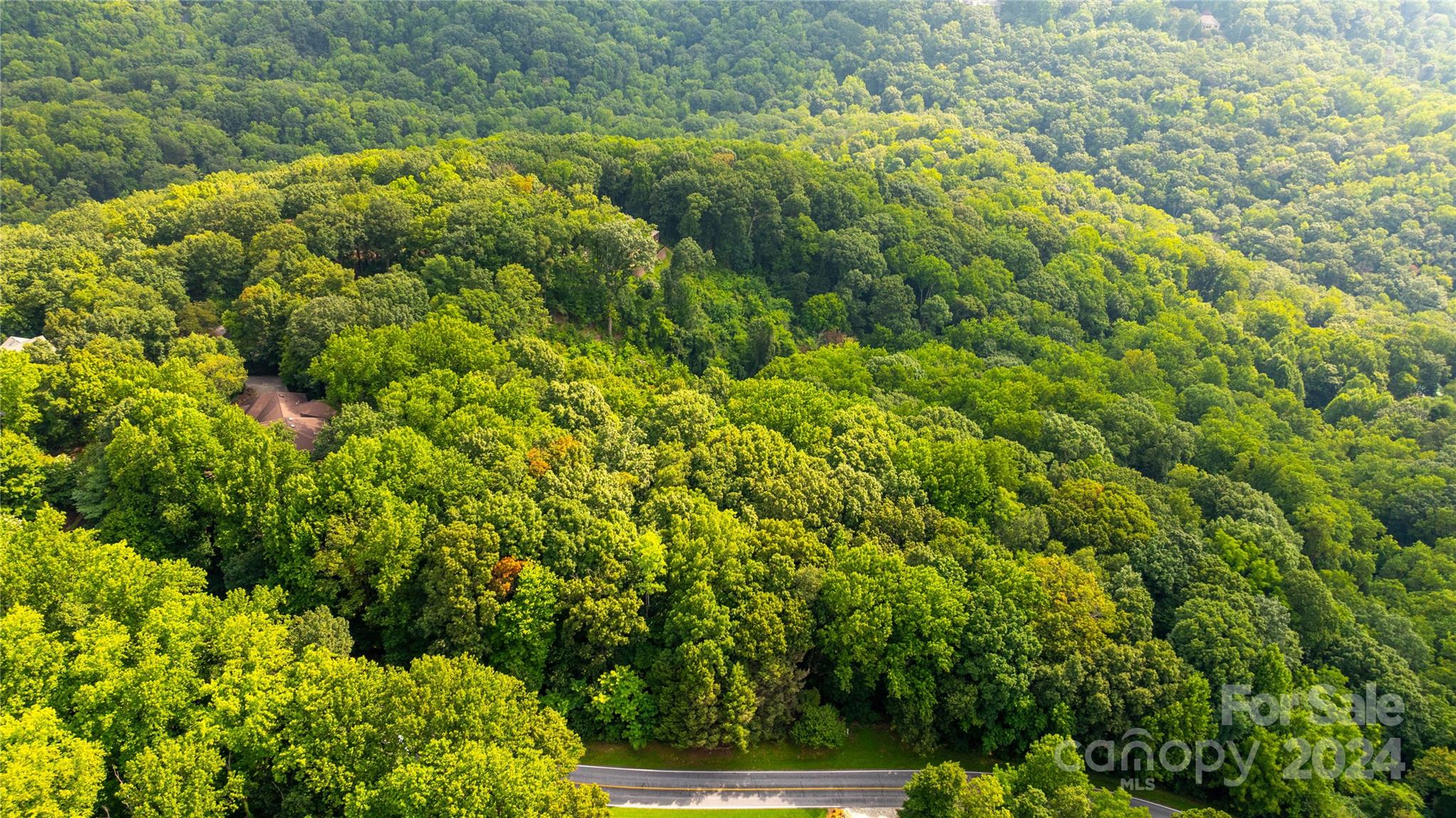 0 Plumley Summit Road 15 Property Photo 3