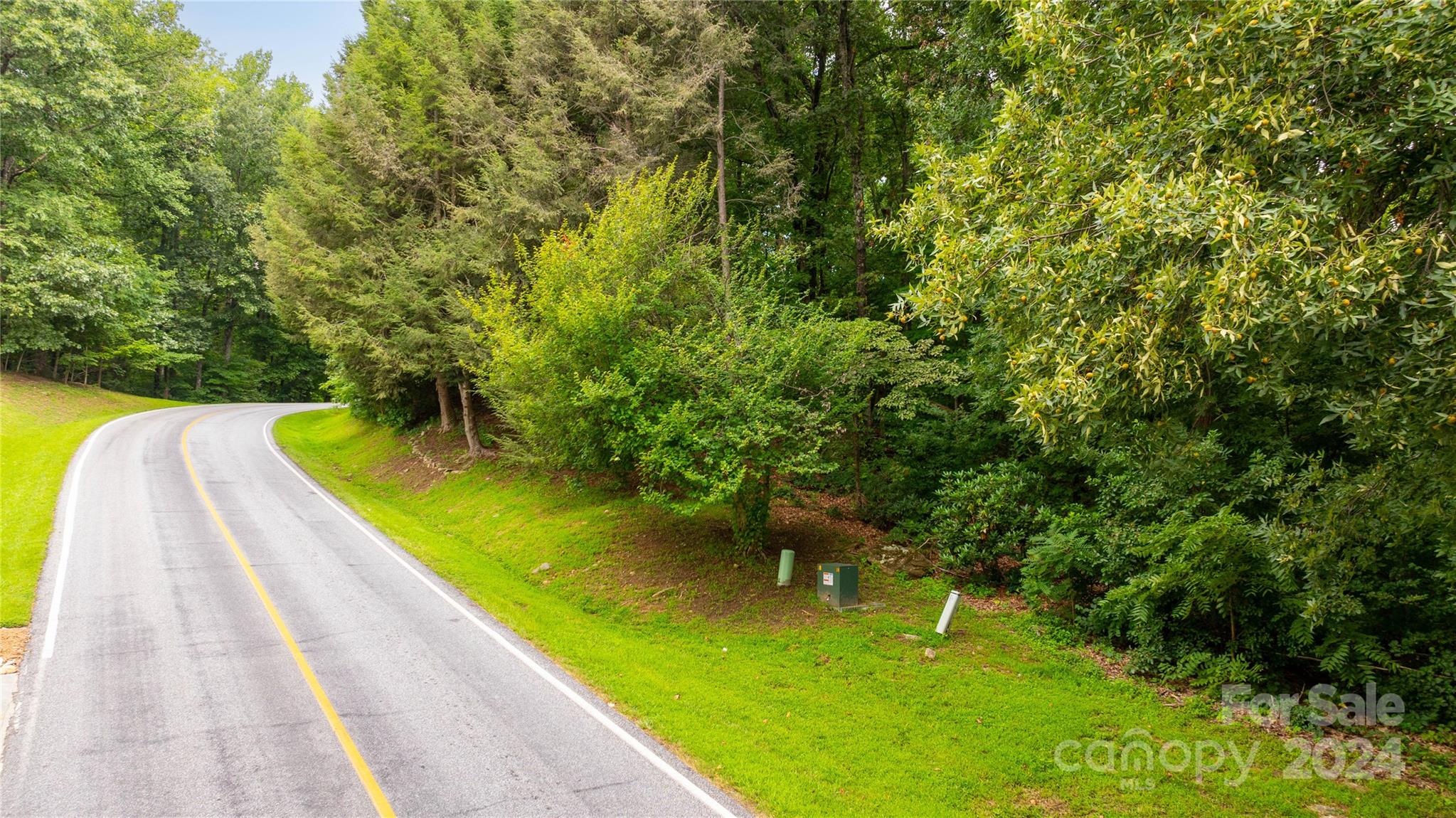 0 Plumley Summit Road 15 Property Photo 13