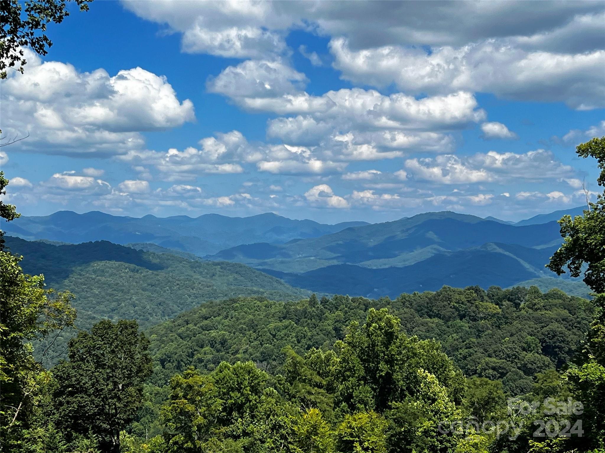 Lot 513 Curry Comb Trail Property Photo