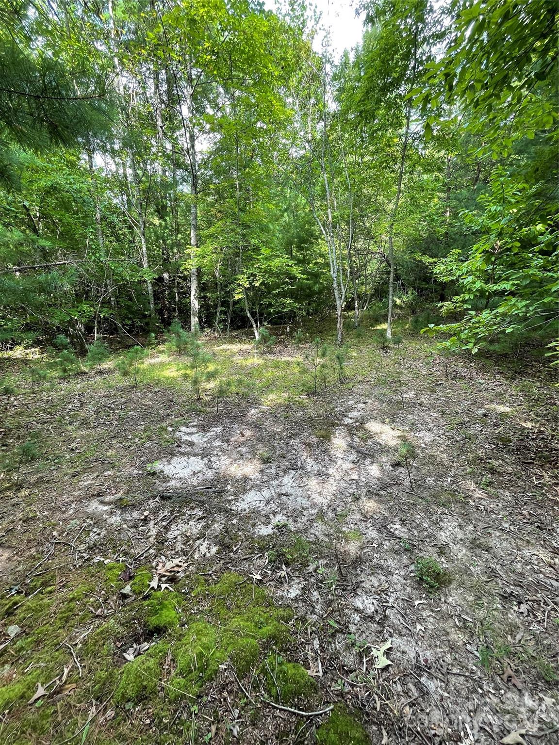 #25 Oleta Mill Trail Property Photo 2