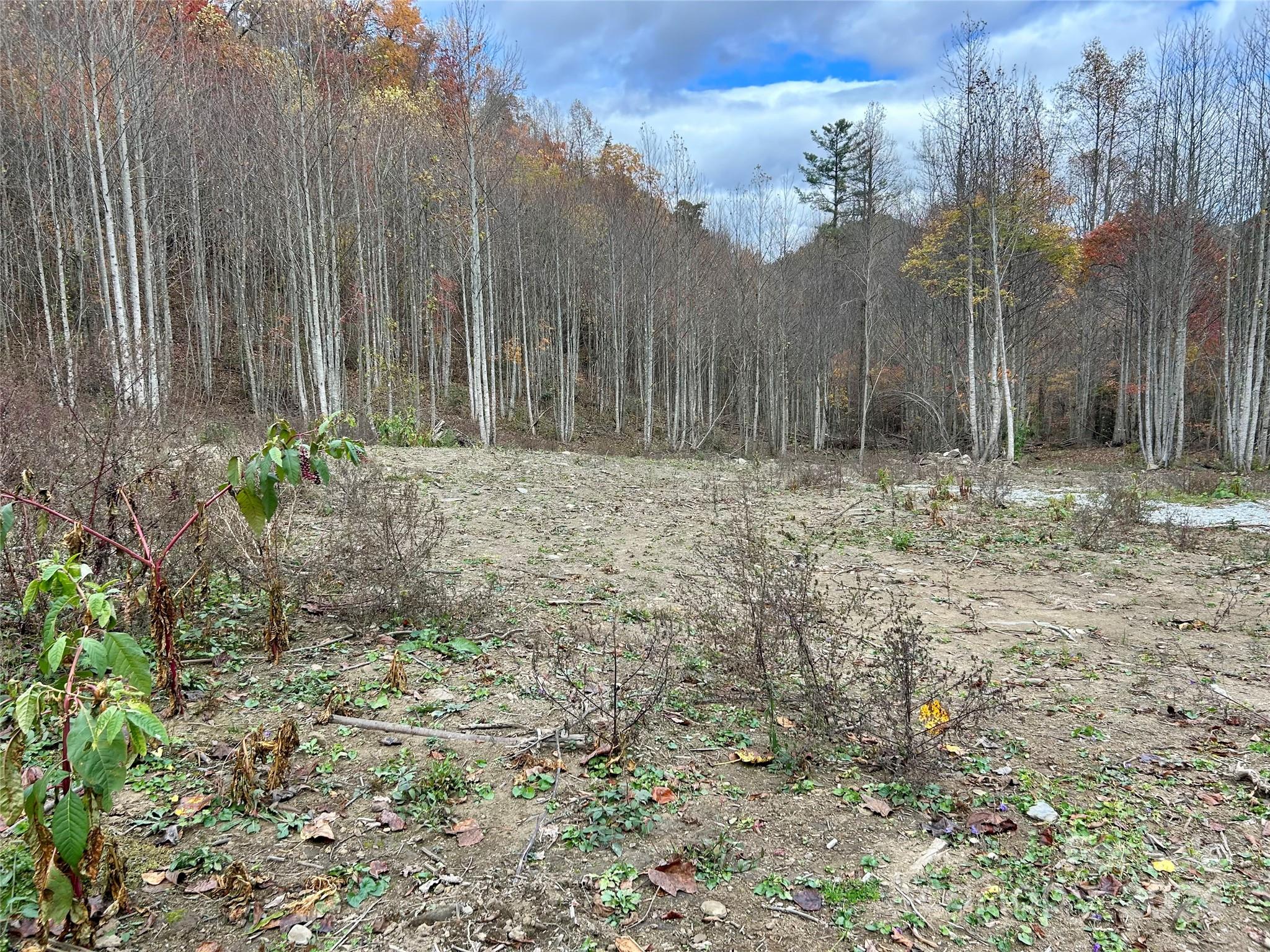 0 Campbell Creek Road Property Photo 2