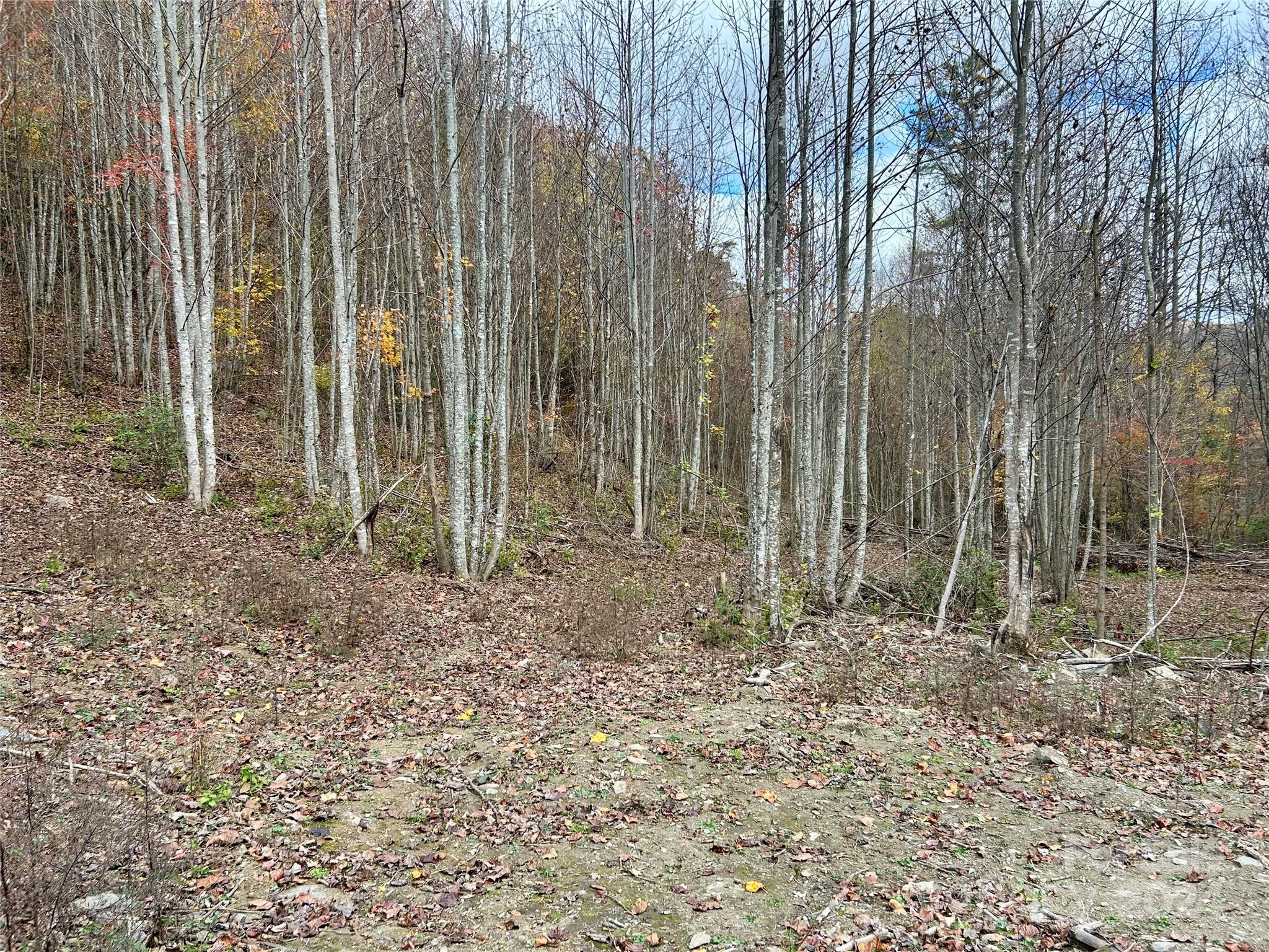 0 Campbell Creek Road Property Photo 3