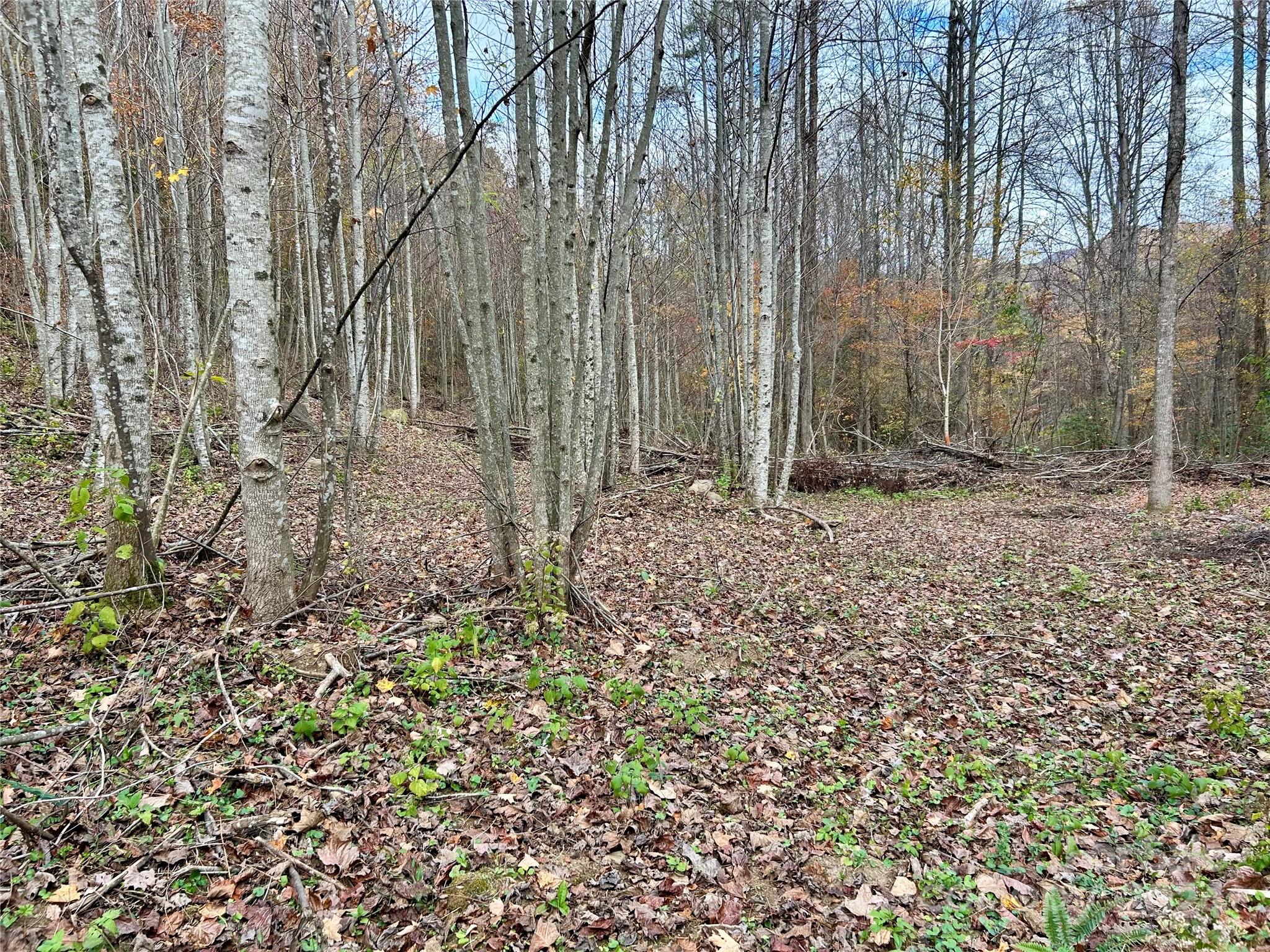 0 Campbell Creek Road Property Photo 4