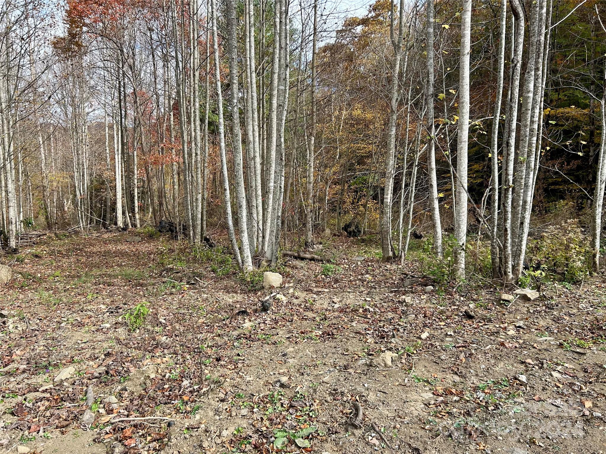 0 Campbell Creek Road Property Photo 5